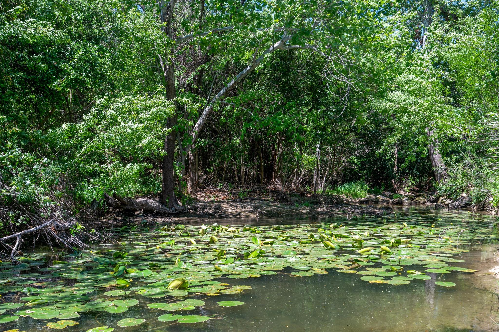 15 Chandon Ln, Lakeway, TX 78734