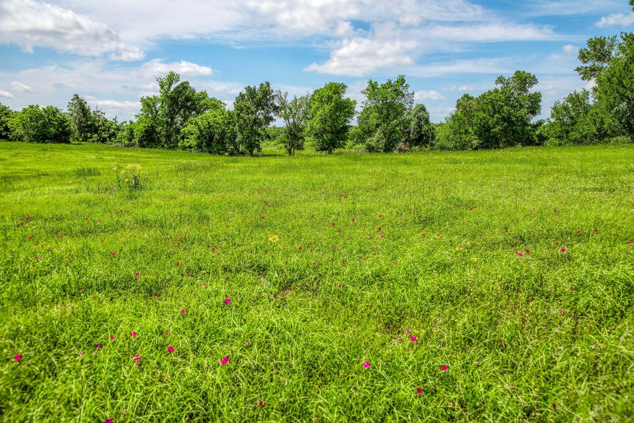 478 Brazos Court, Caldwell, TX 77836