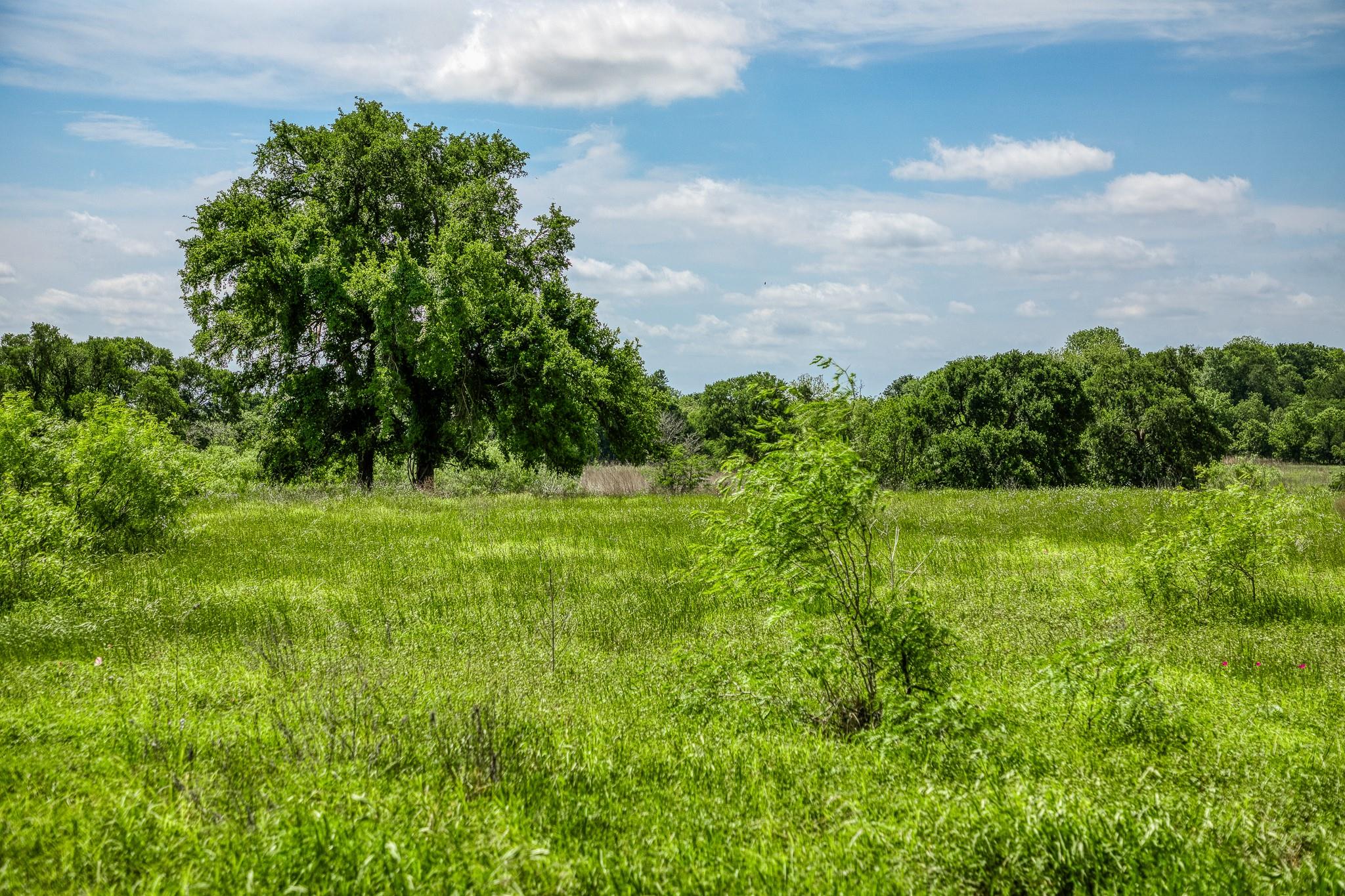 478 Brazos Court, Caldwell, TX 77836