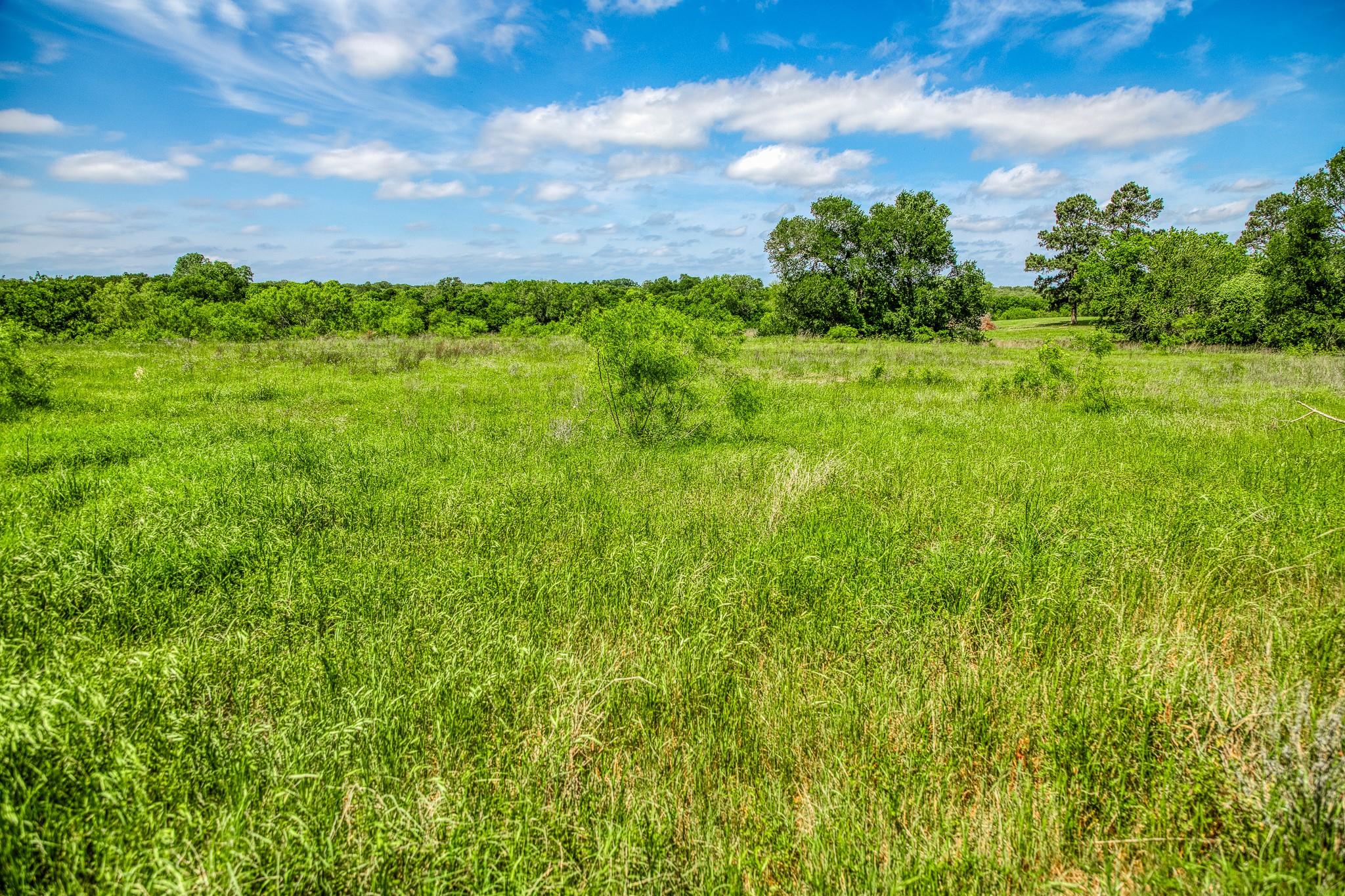 478 Brazos Court, Caldwell, TX 77836