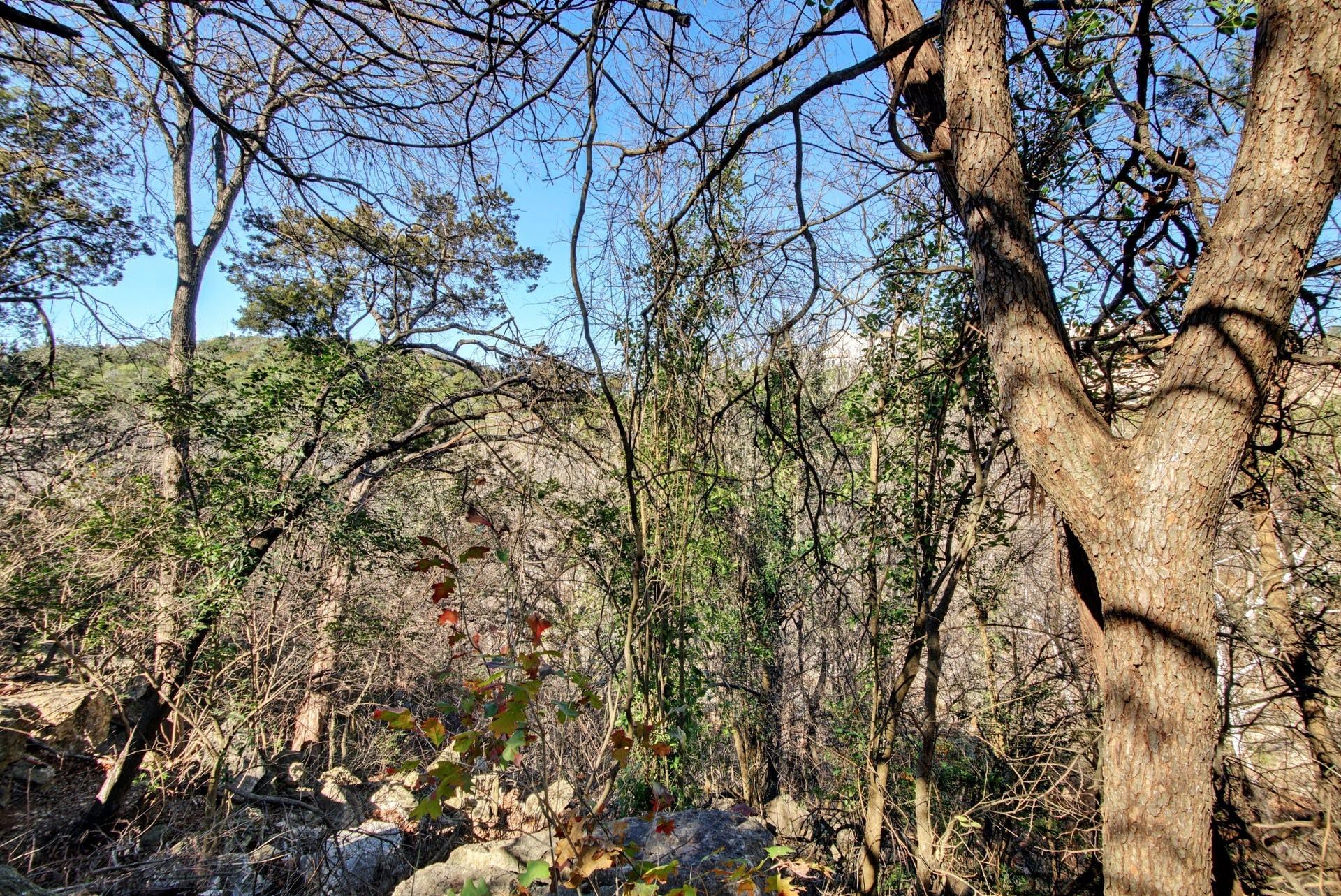 2306 Forest Bend Dr, Austin, TX 78704