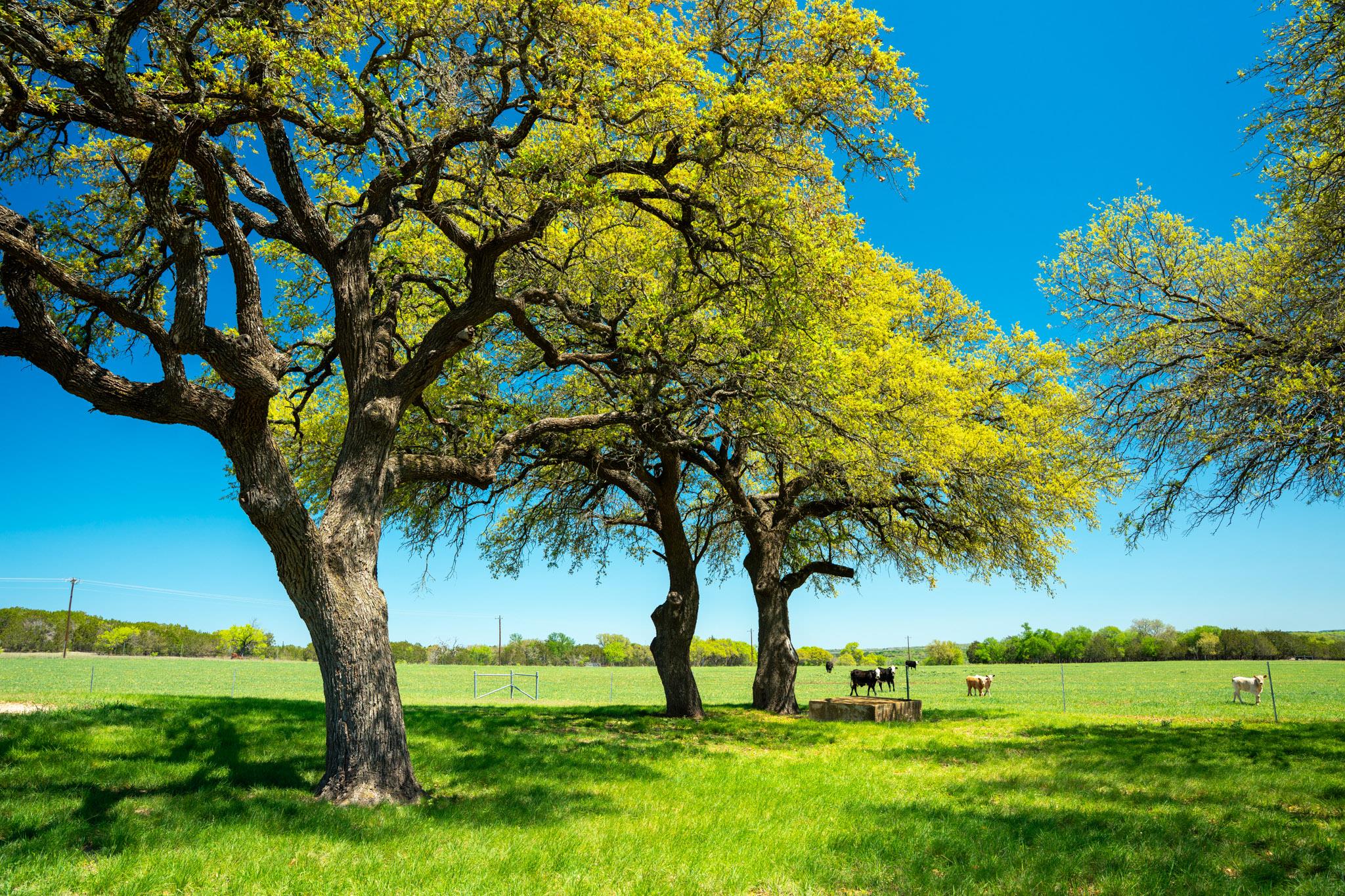 4503 FM 1715, Lampasas, TX 76550