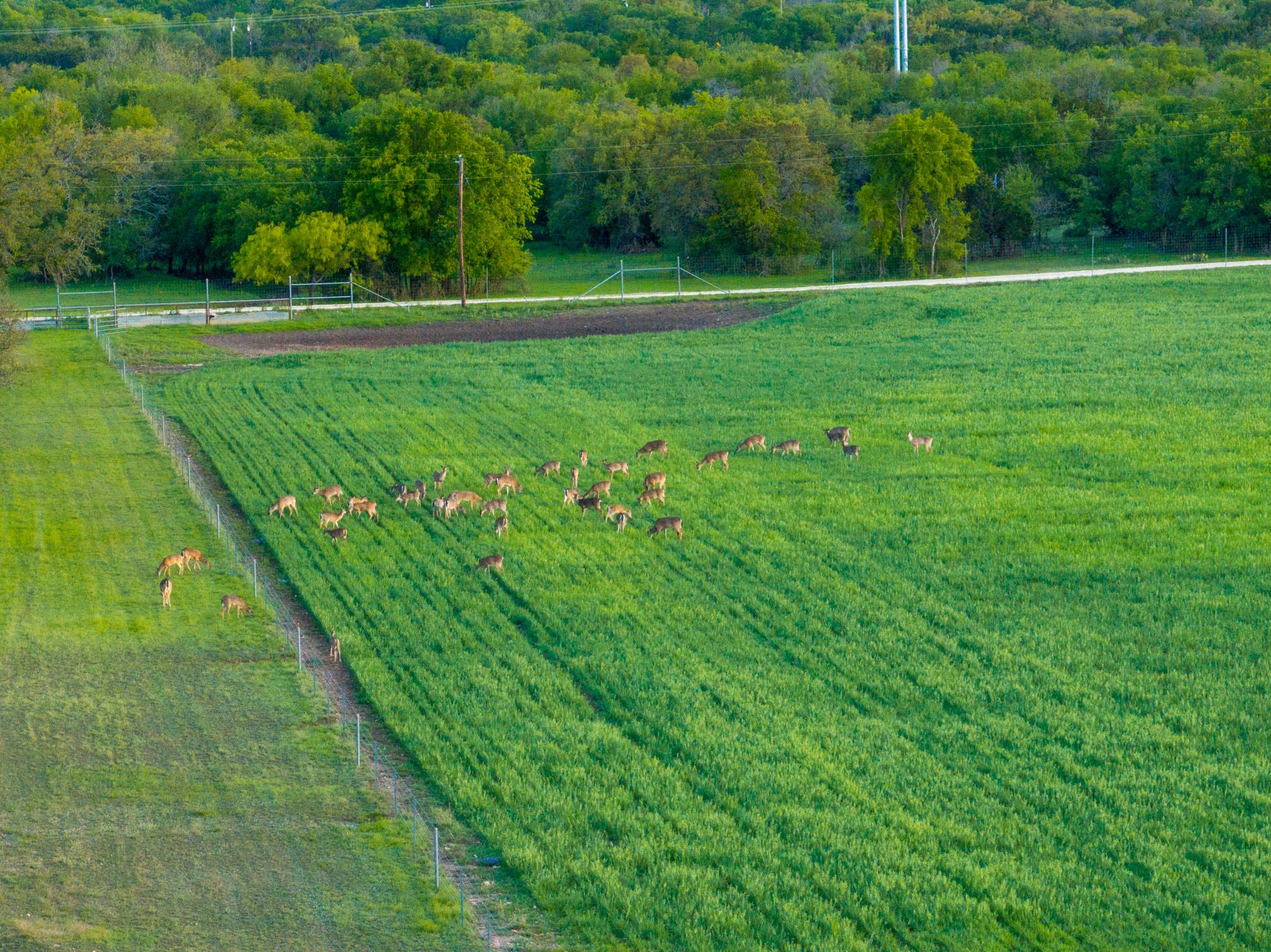 4503 FM 1715, Lampasas, TX 76550