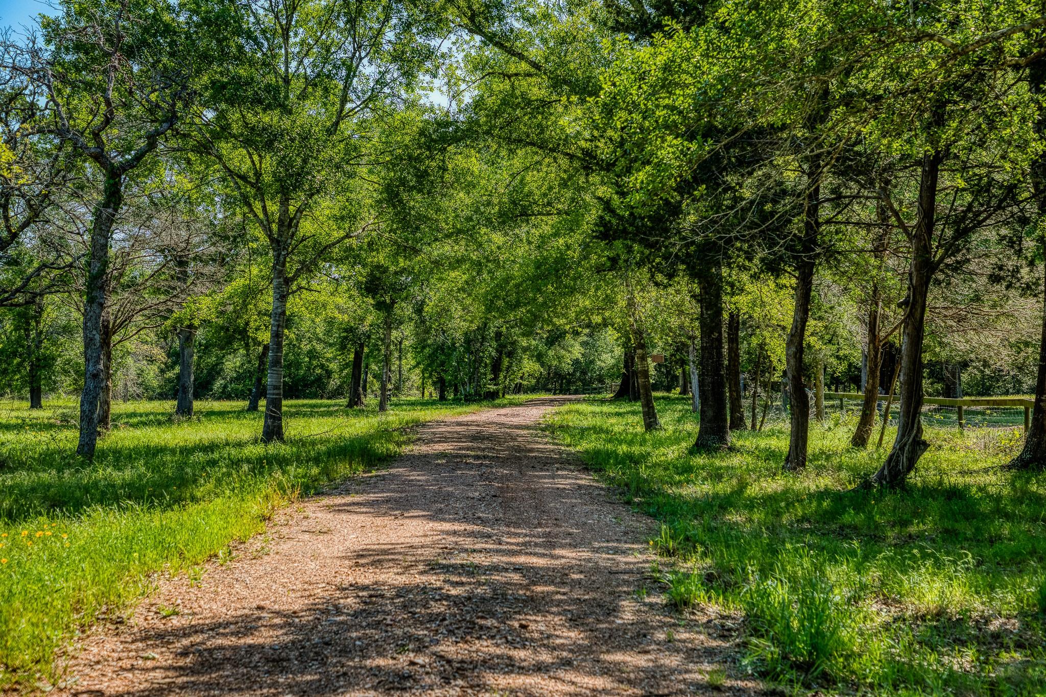 6925 S Sycamore Crossing Rd A, Bellville, TX 77418