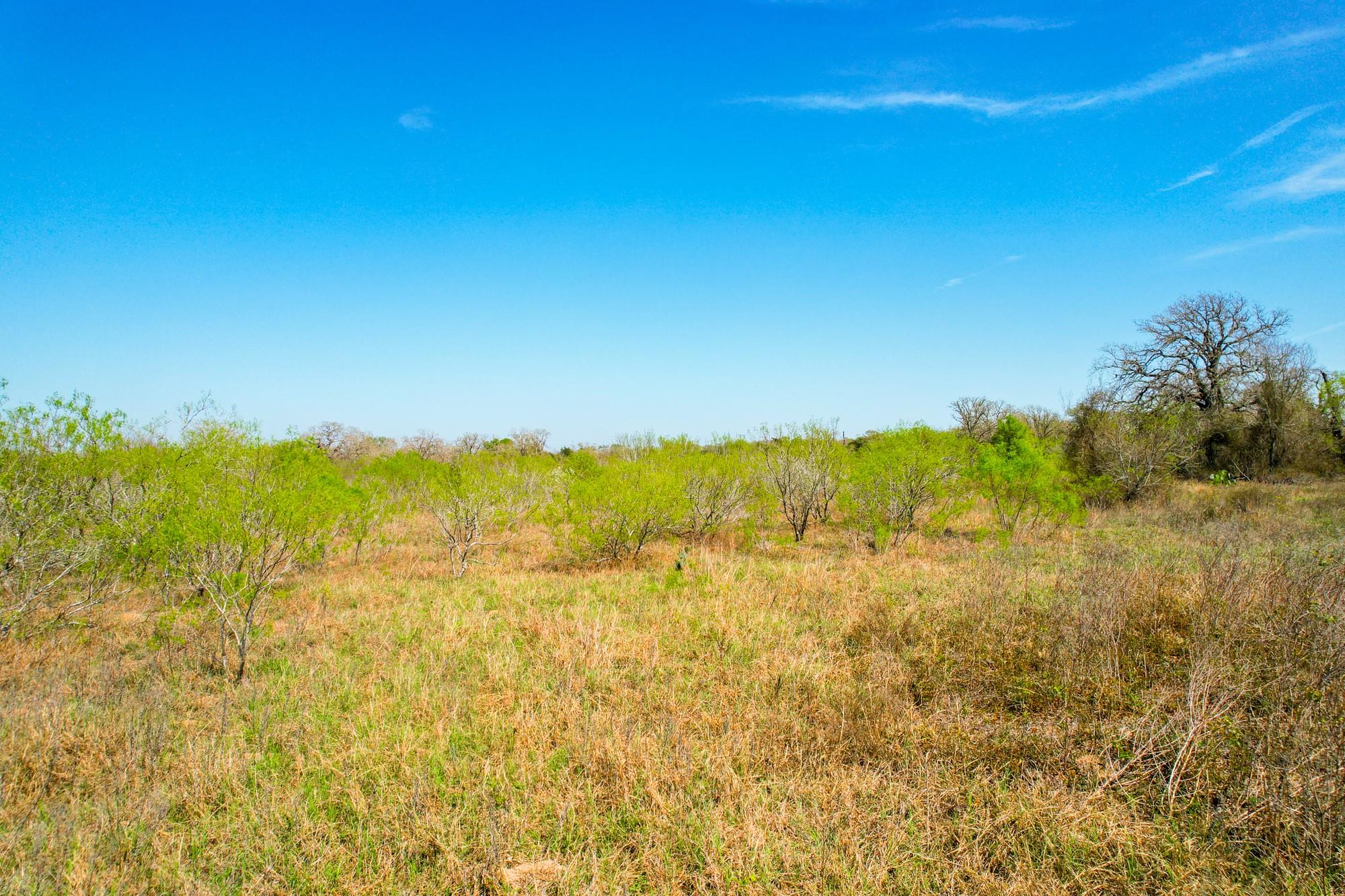 6641 Taylorsville Rd, Dale, TX 78616