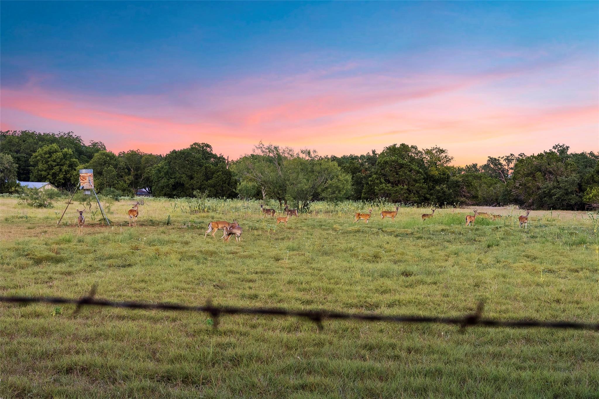 13100 Ranch Road 12, Wimberley, TX 78676