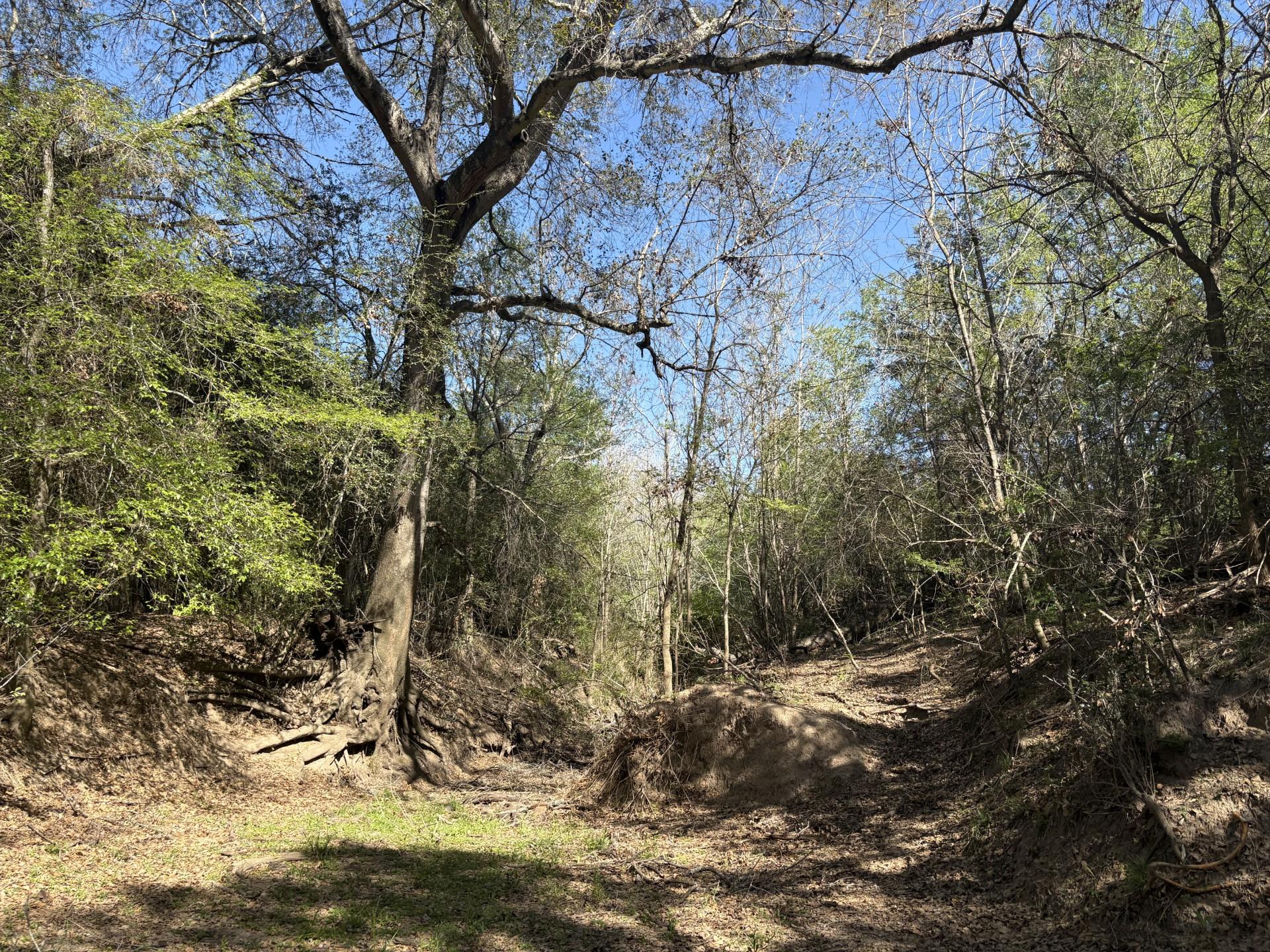 TBD ANCHOR RANCH Loop, Flatonia, TX 78941