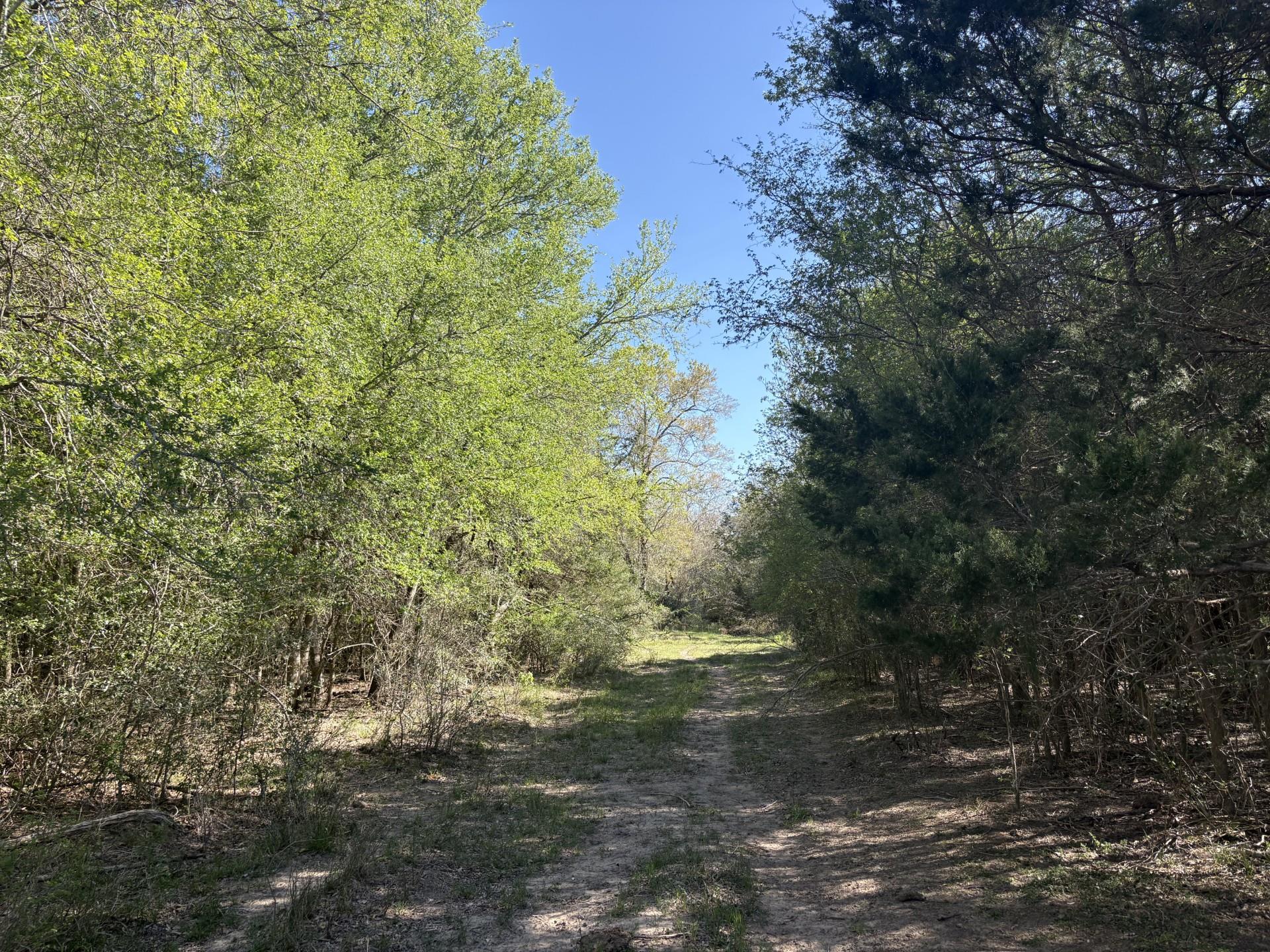 TBD ANCHOR RANCH Loop, Flatonia, TX 78941