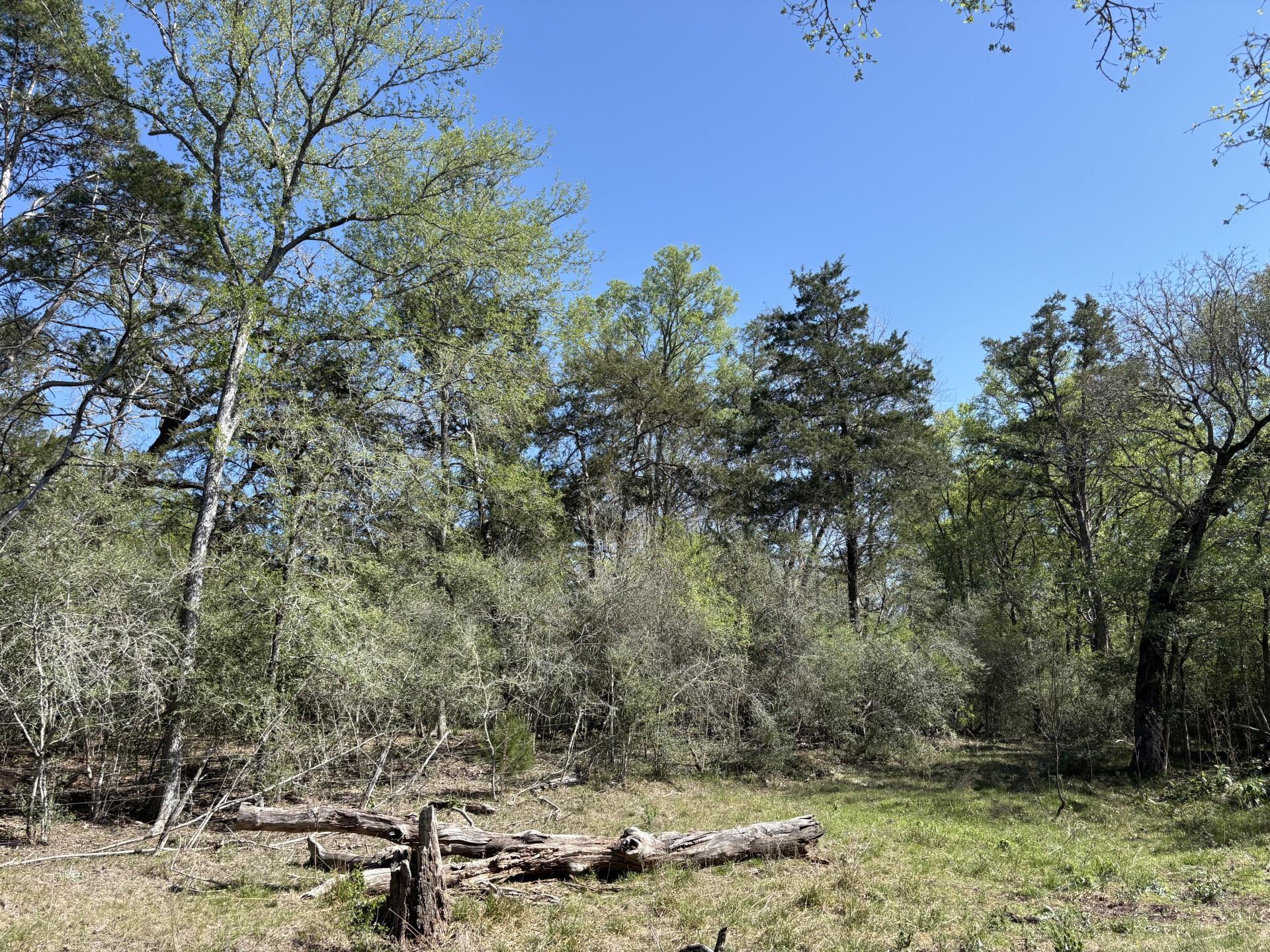 TBD ANCHOR RANCH Loop, Flatonia, TX 78941