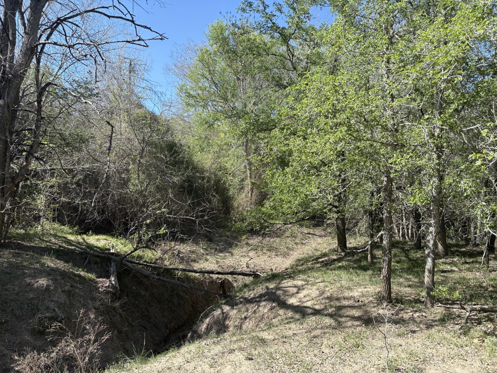 TBD ANCHOR RANCH Loop, Flatonia, TX 78941