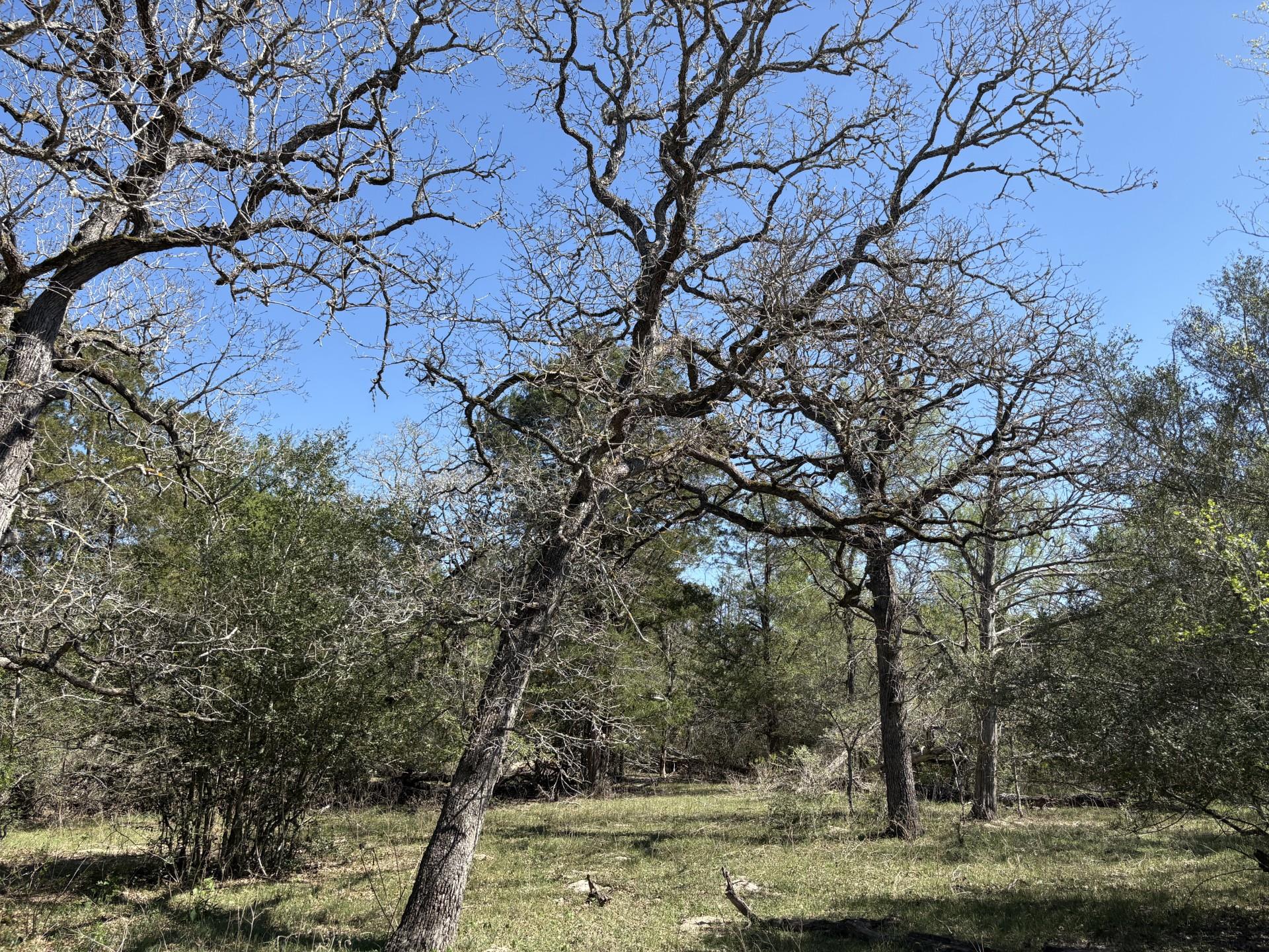 TBD ANCHOR RANCH Loop, Flatonia, TX 78941