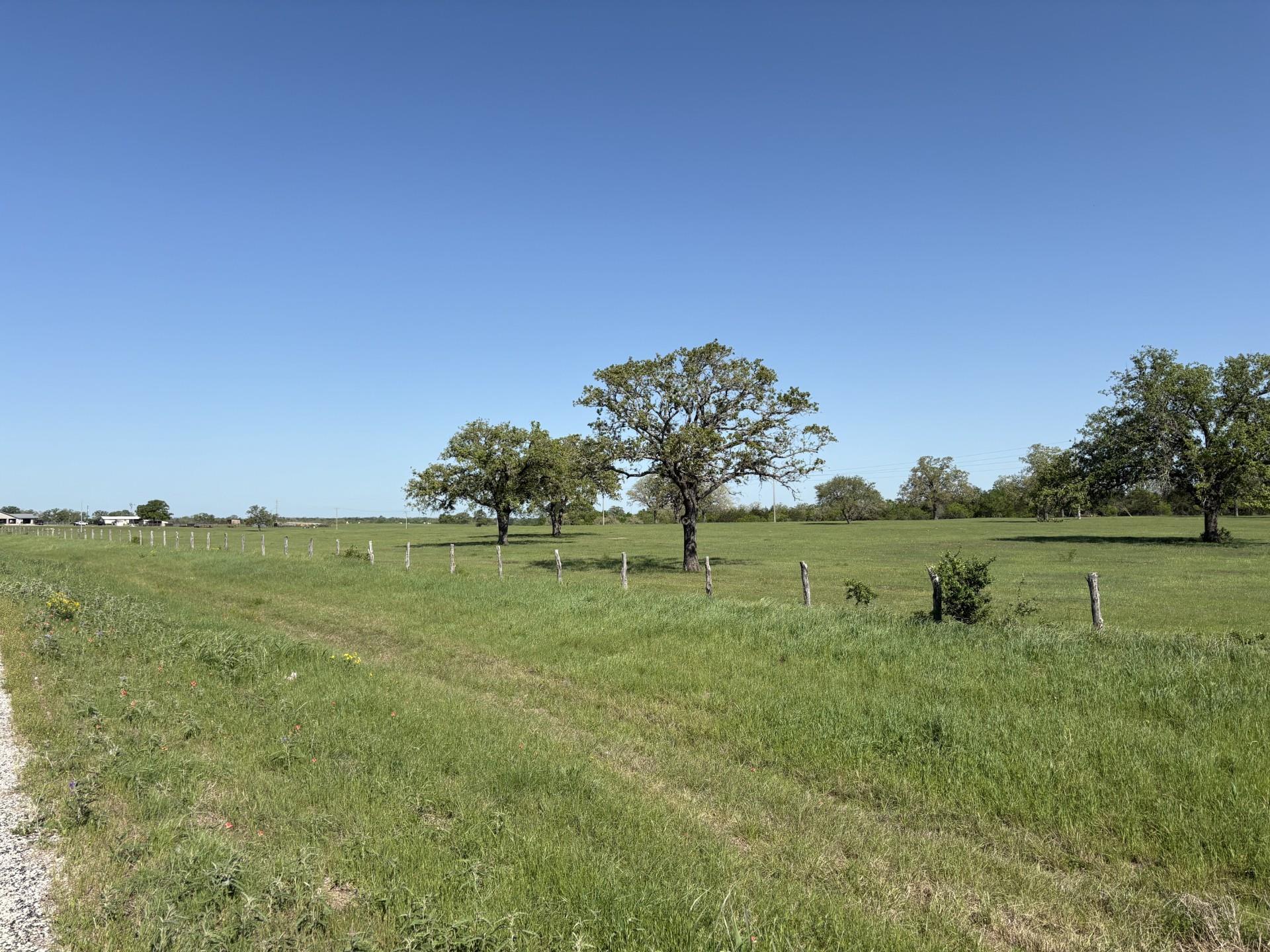 TBD 49.74 +/- Acres Tx-95 Highway, Flatonia, TX 78941