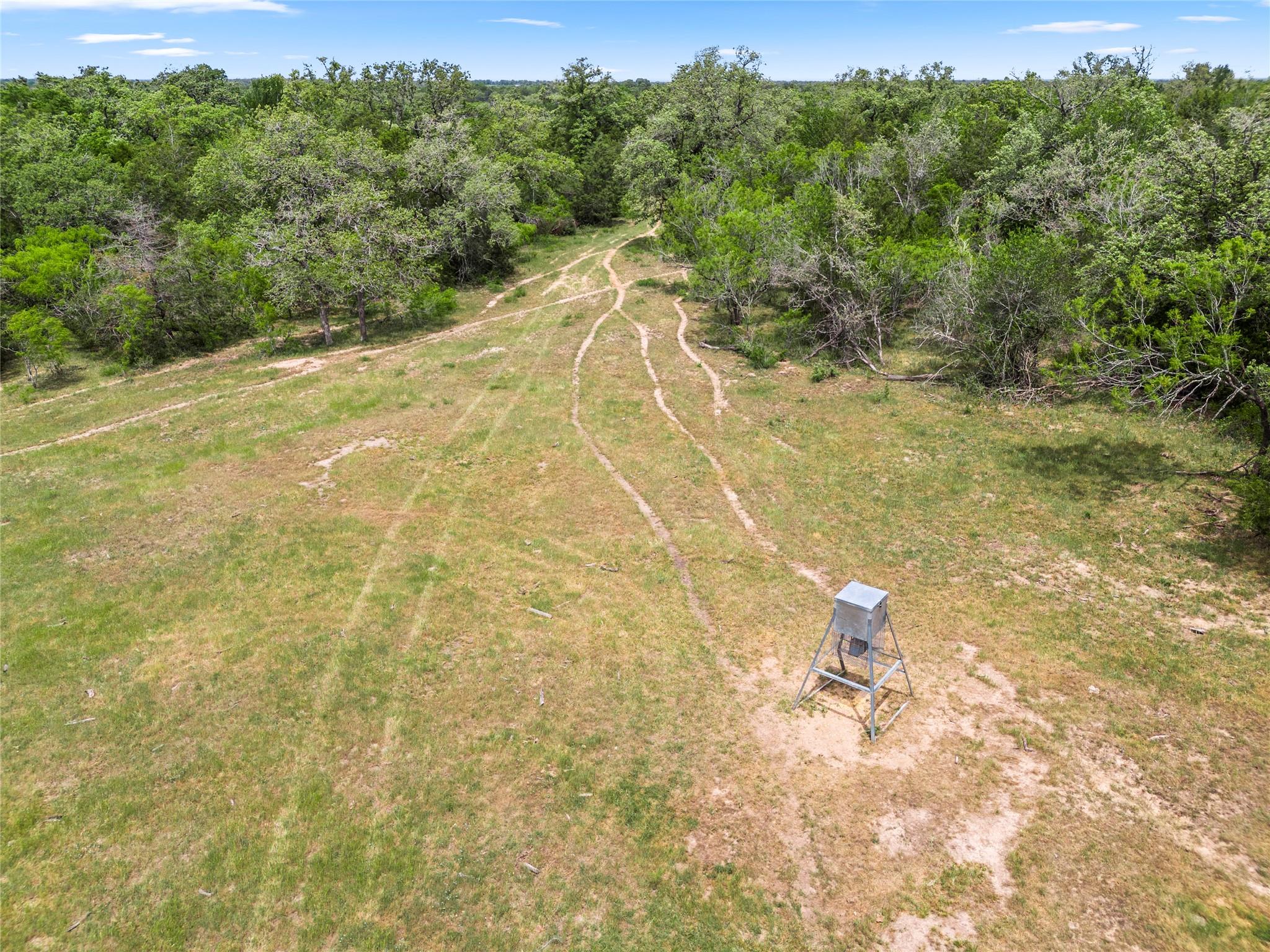 TBD 49.74 +/- Acres Tx-95 Highway, Flatonia, TX 78941