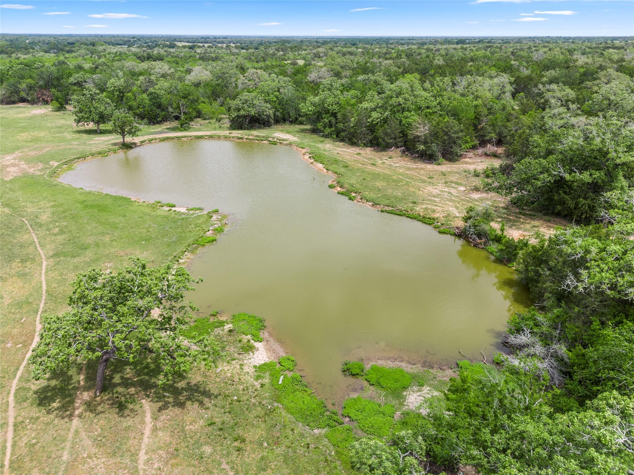 TBD 49.74 +/- Acres Tx-95 Highway, Flatonia, TX 78941