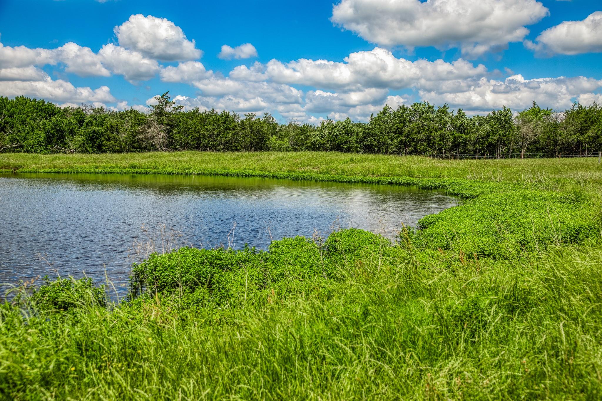 1850 LCR 439, Groesbeck, TX 76667