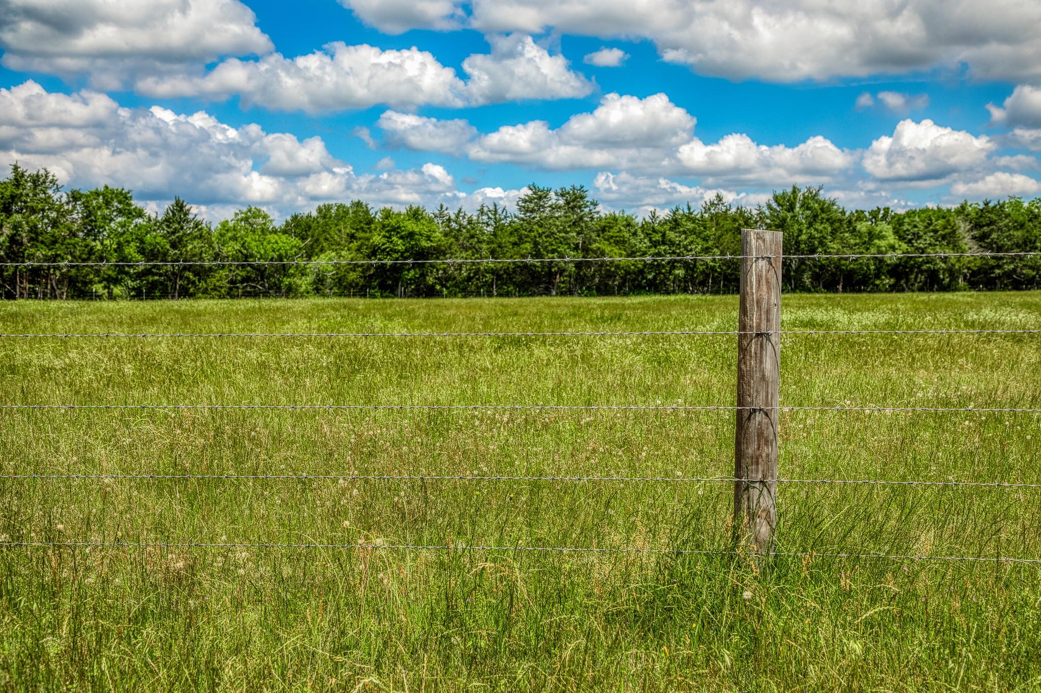 1850 LCR 439, Groesbeck, TX 76667