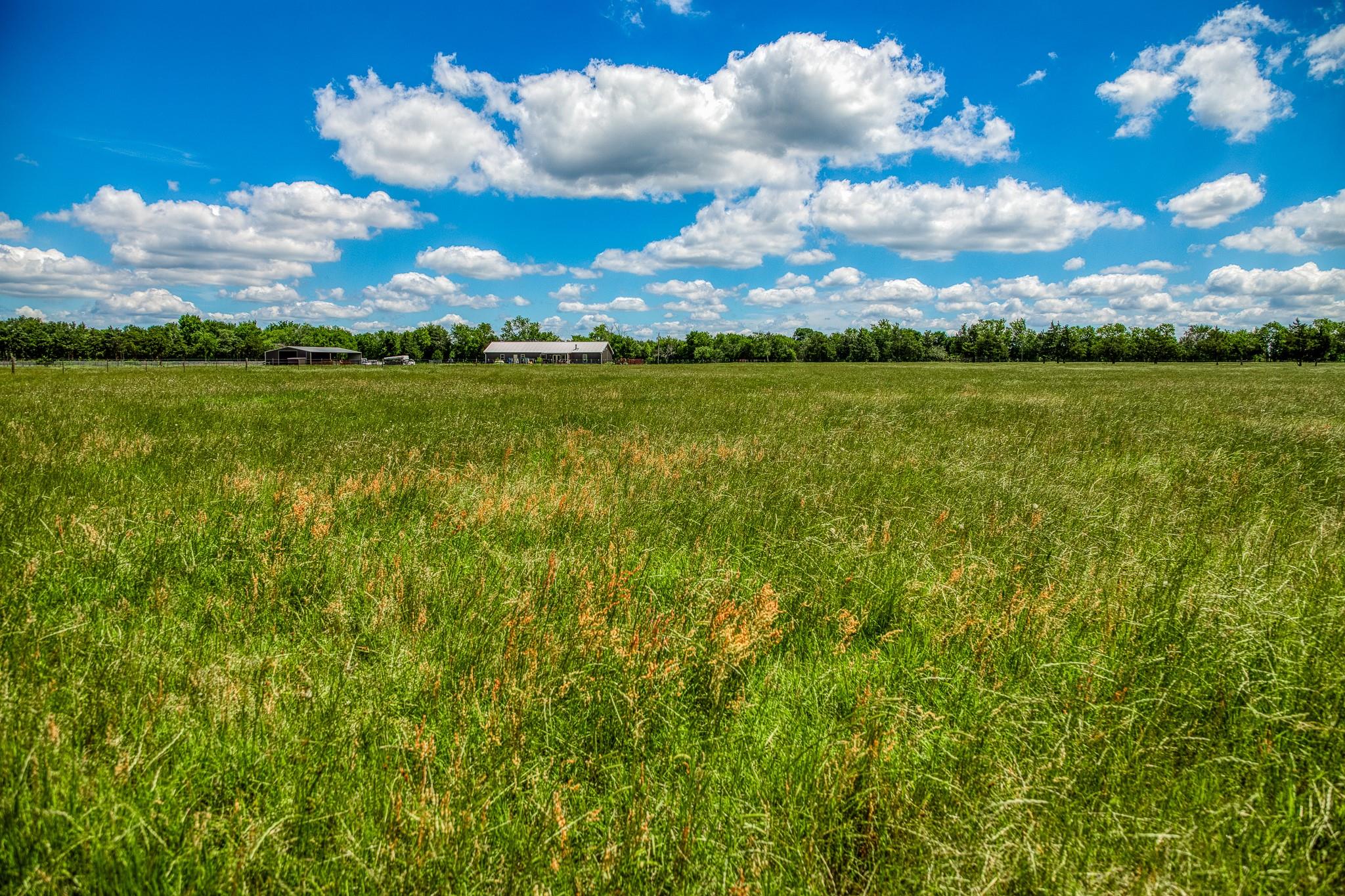 1850 LCR 439, Groesbeck, TX 76667