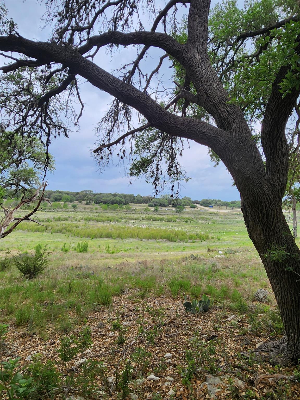 1279 Kings Cove Dr, Canyon Lake, TX 78133