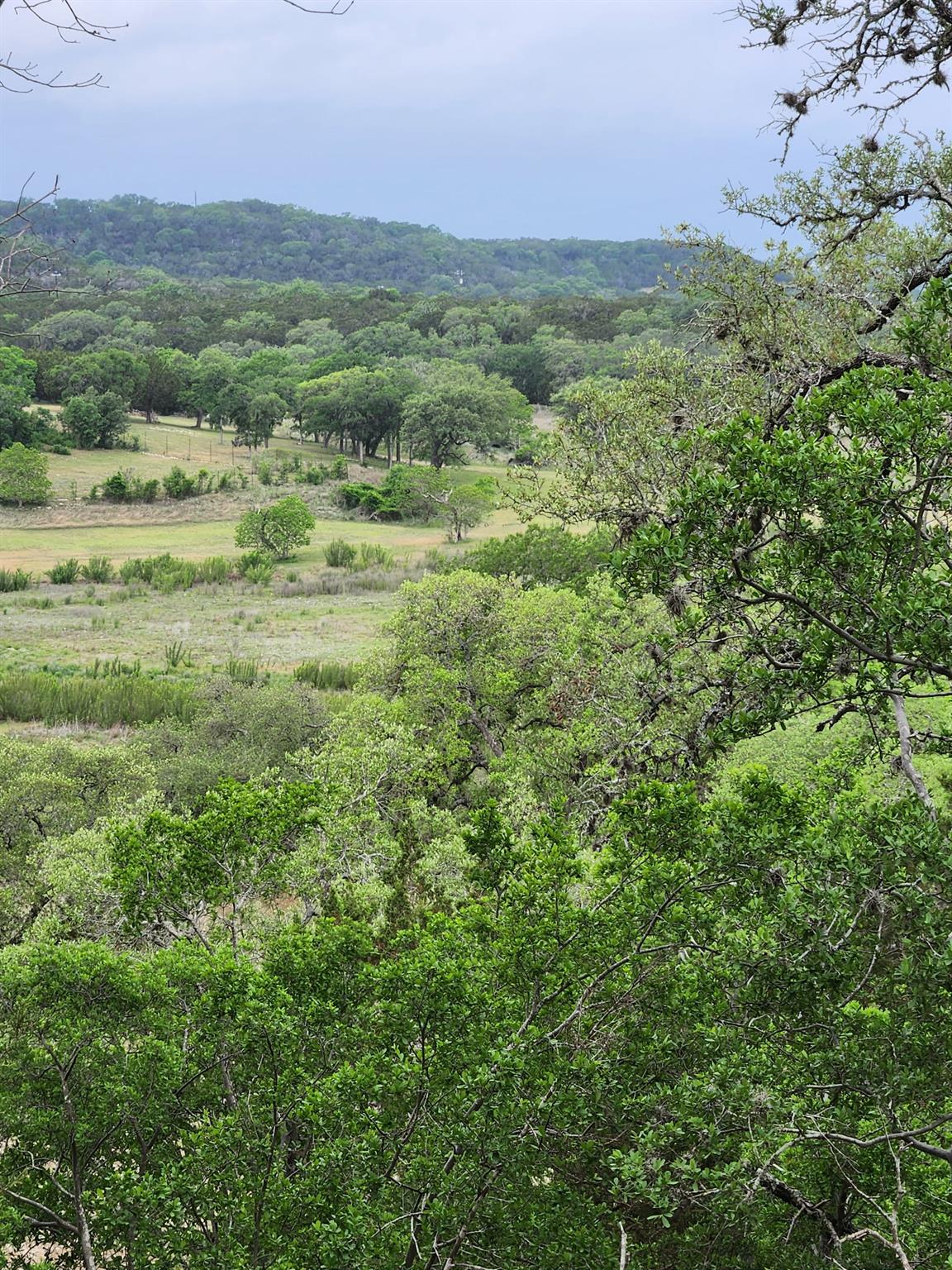 1279 Kings Cove Dr, Canyon Lake, TX 78133