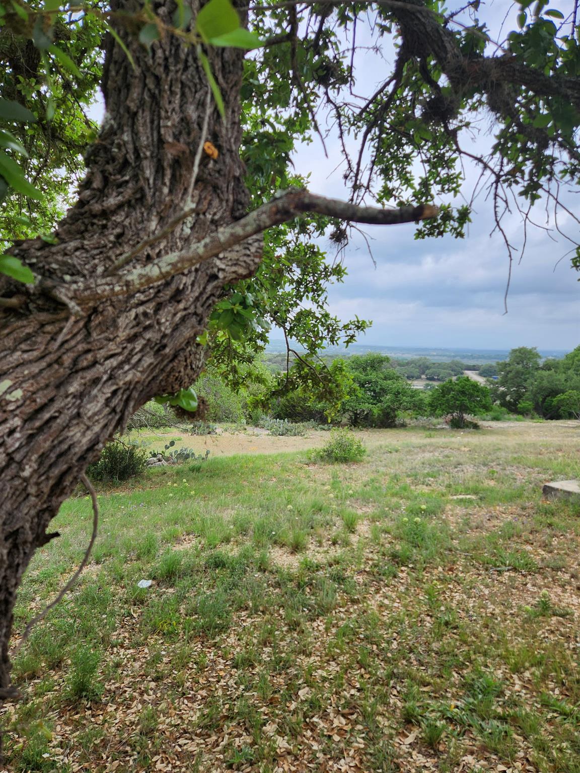 1279 Kings Cove Dr, Canyon Lake, TX 78133