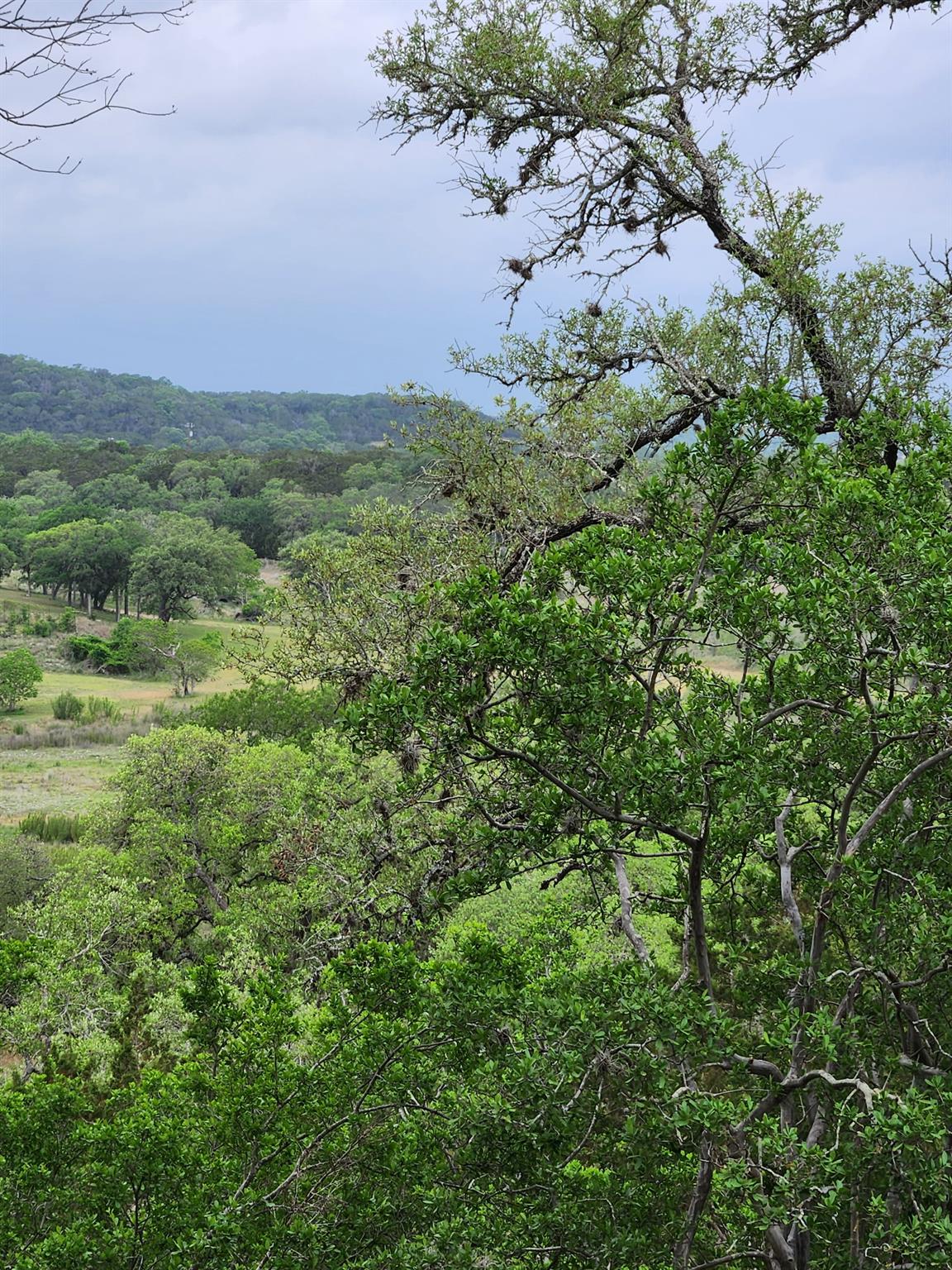 1279 Kings Cove Dr, Canyon Lake, TX 78133