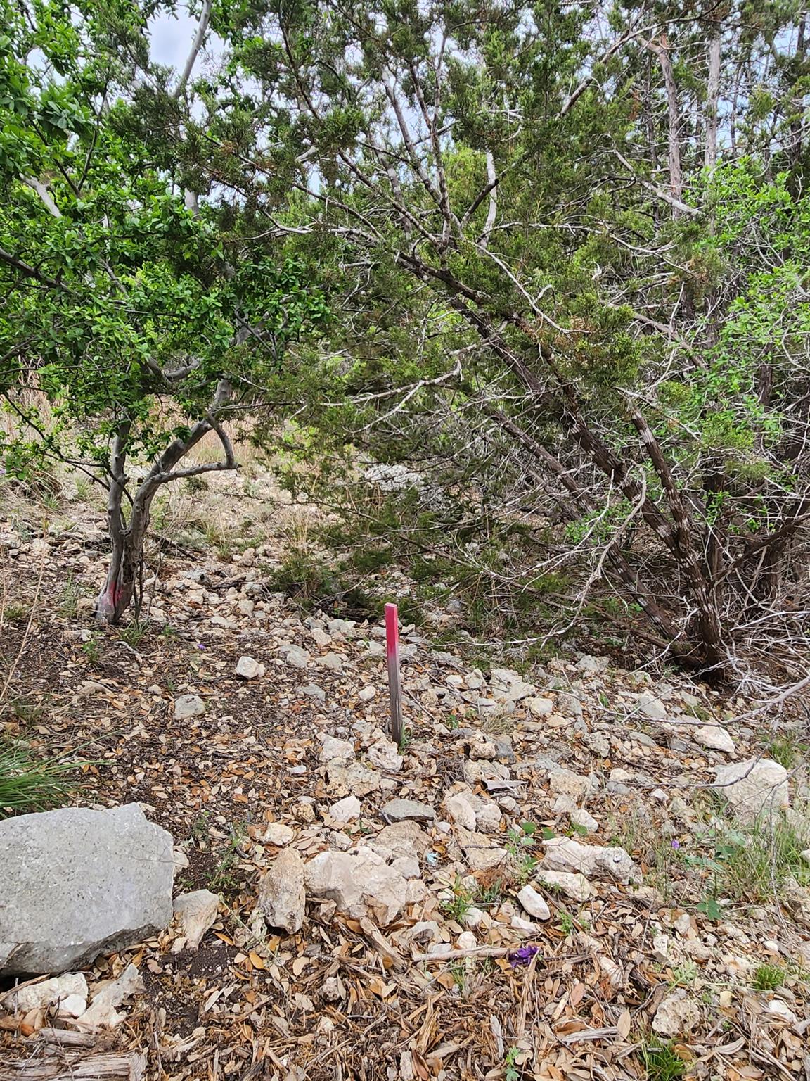 1279 Kings Cove Dr, Canyon Lake, TX 78133