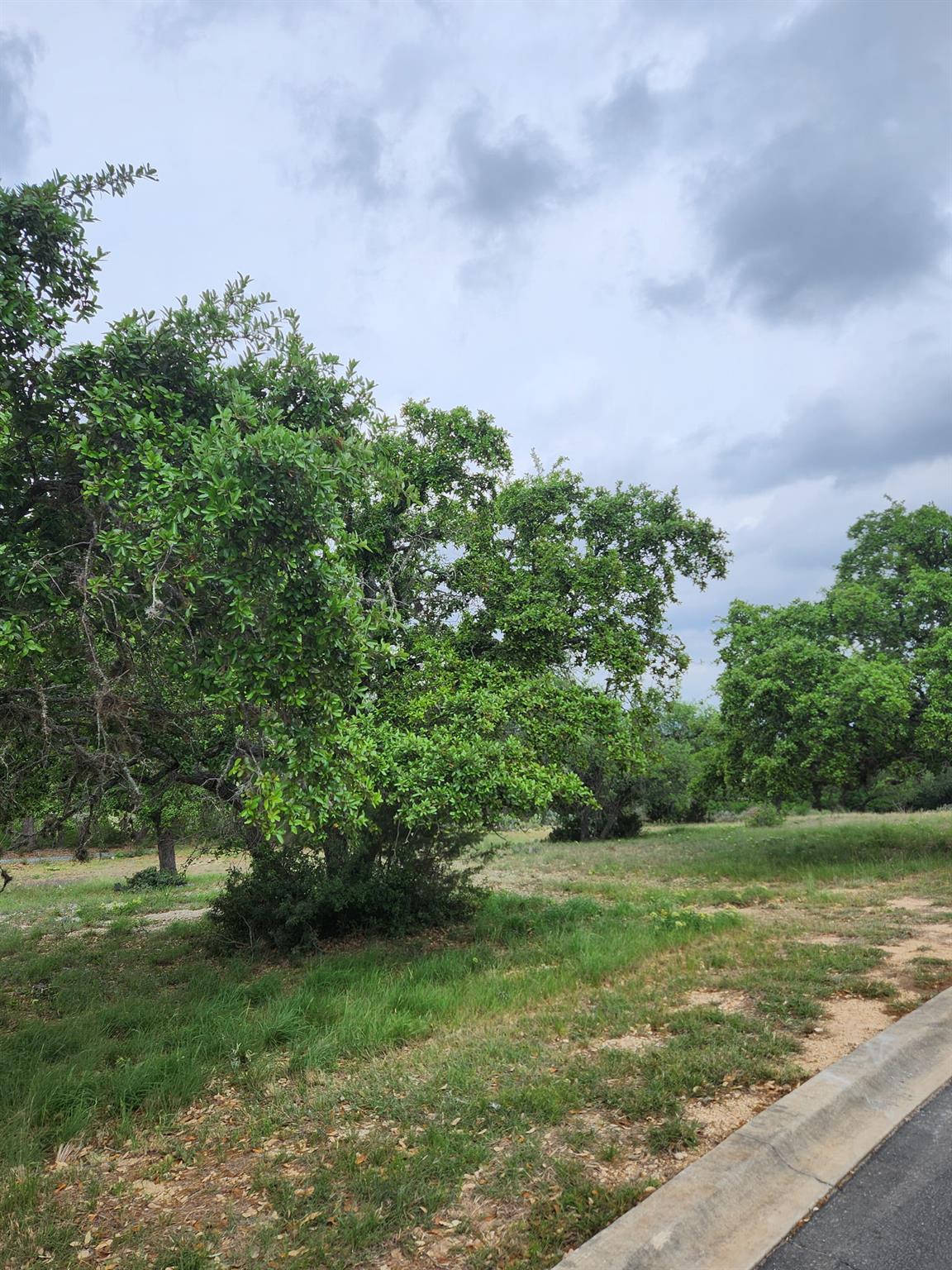 1279 Kings Cove Dr, Canyon Lake, TX 78133