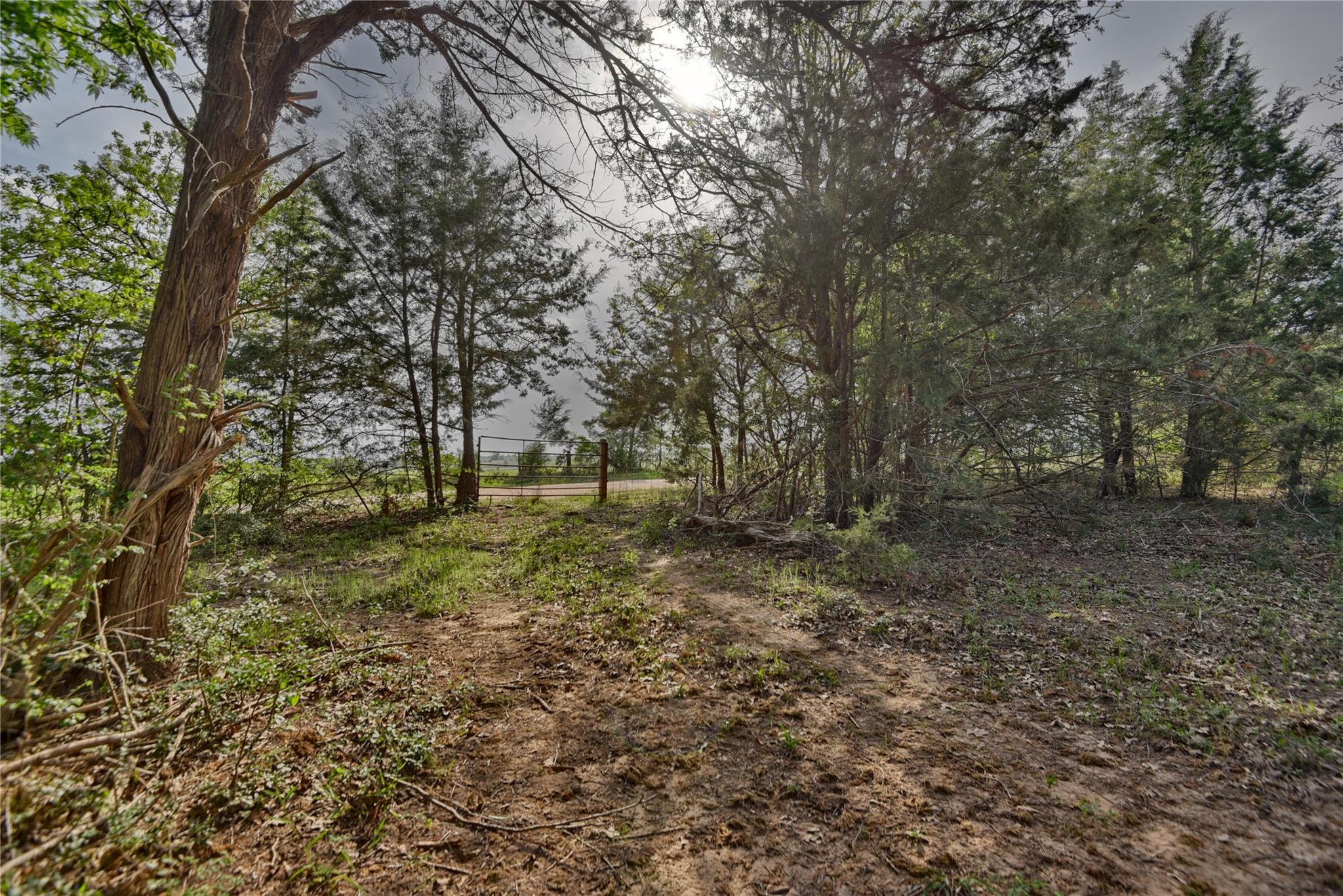 TBD (43.65 Acres) County Road 126, Caldwell, TX 77836