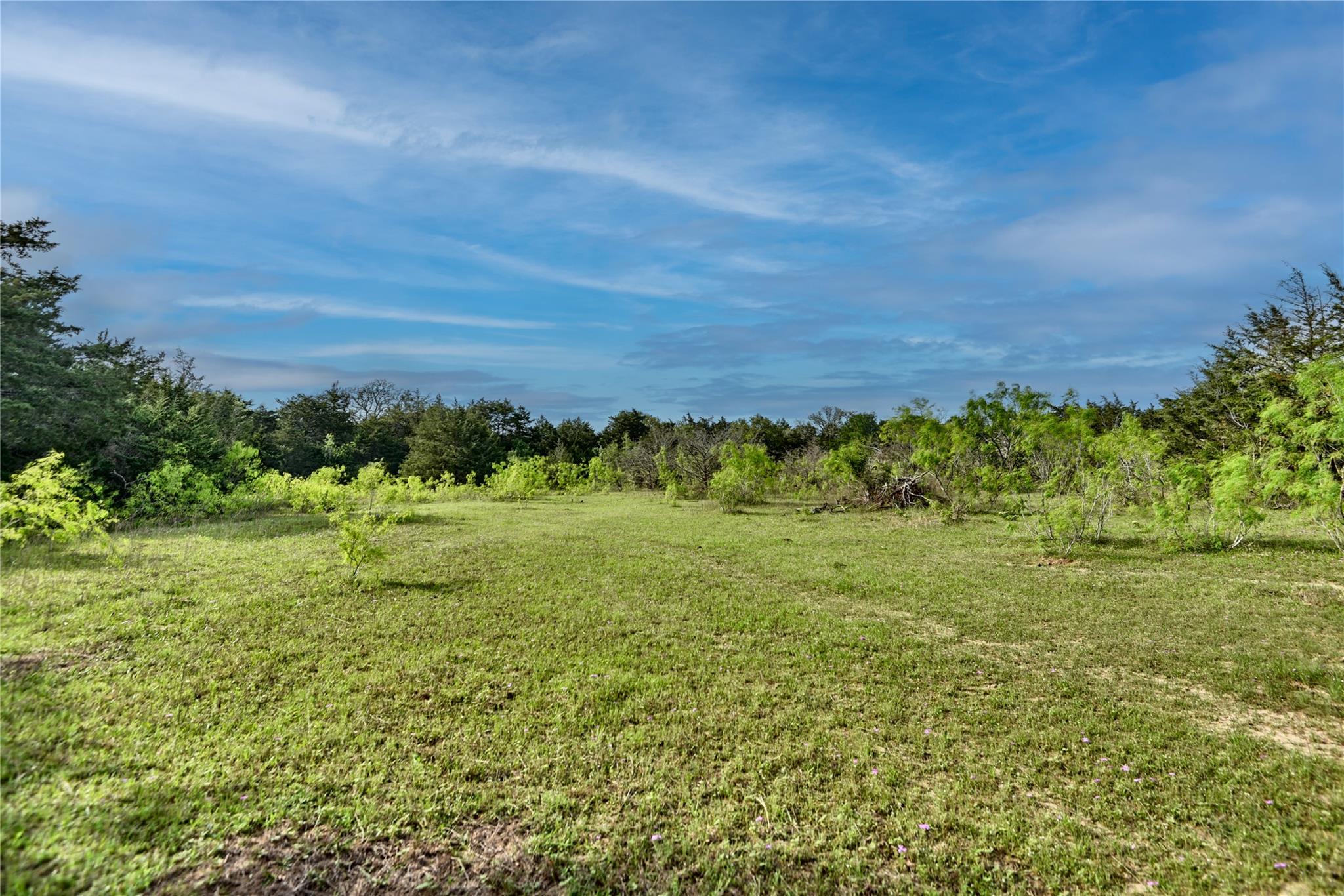 TBD (43.65 Acres) County Road 126, Caldwell, TX 77836