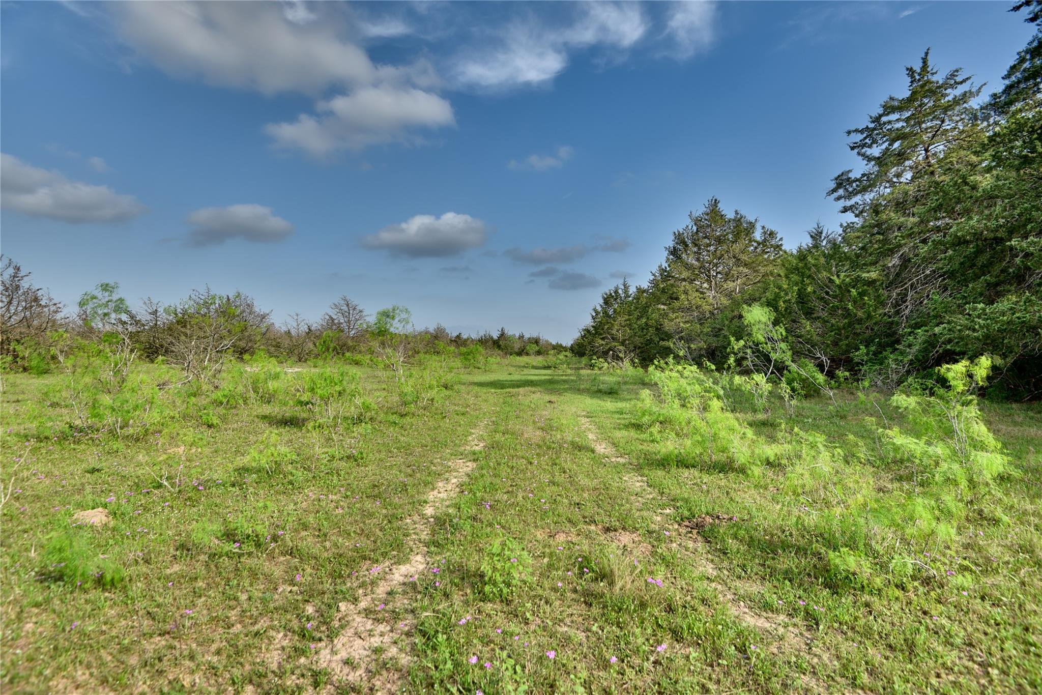 TBD (43.65 Acres) County Road 126, Caldwell, TX 77836