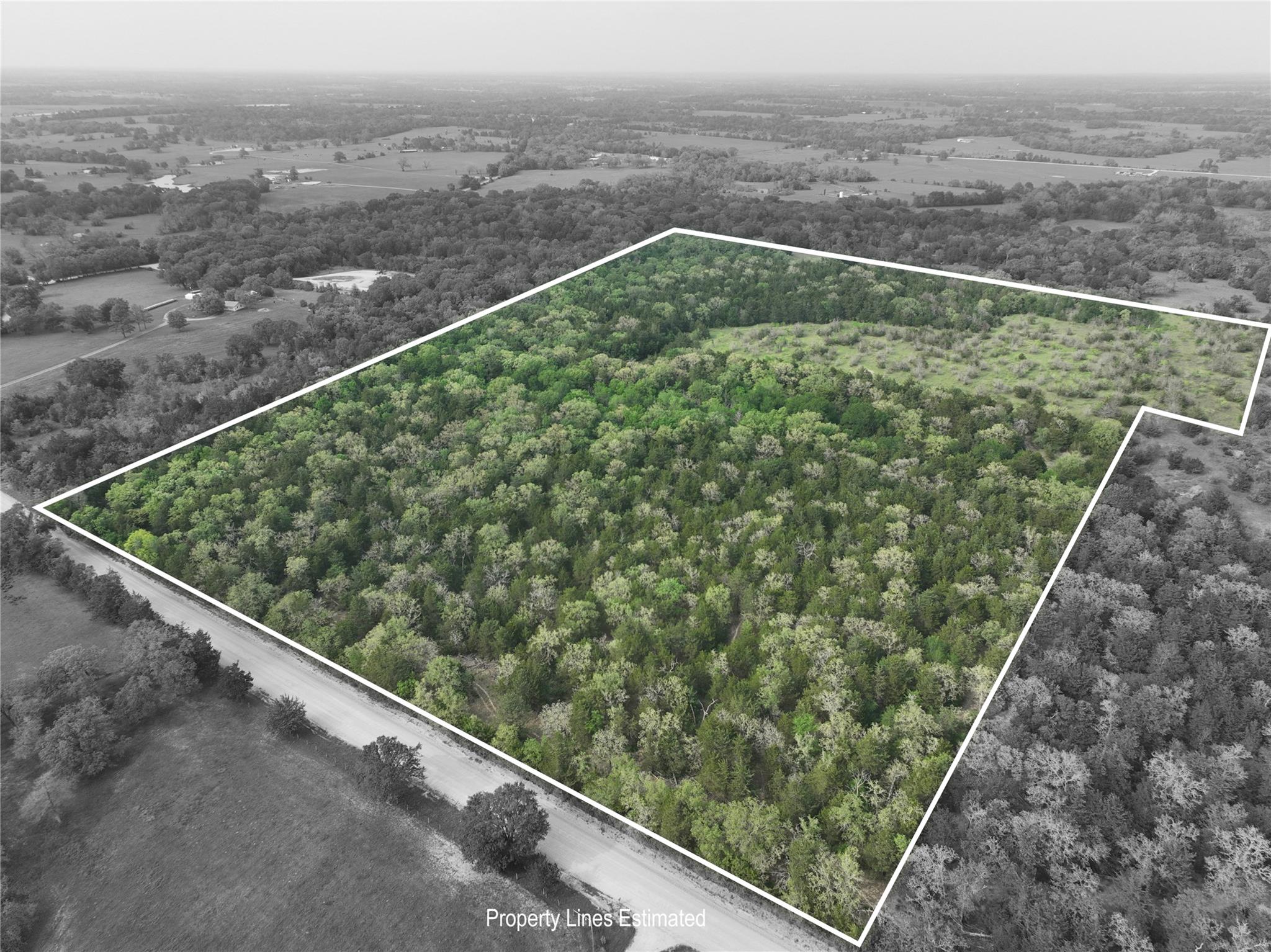 TBD (43.65 Acres) County Road 126, Caldwell, TX 77836