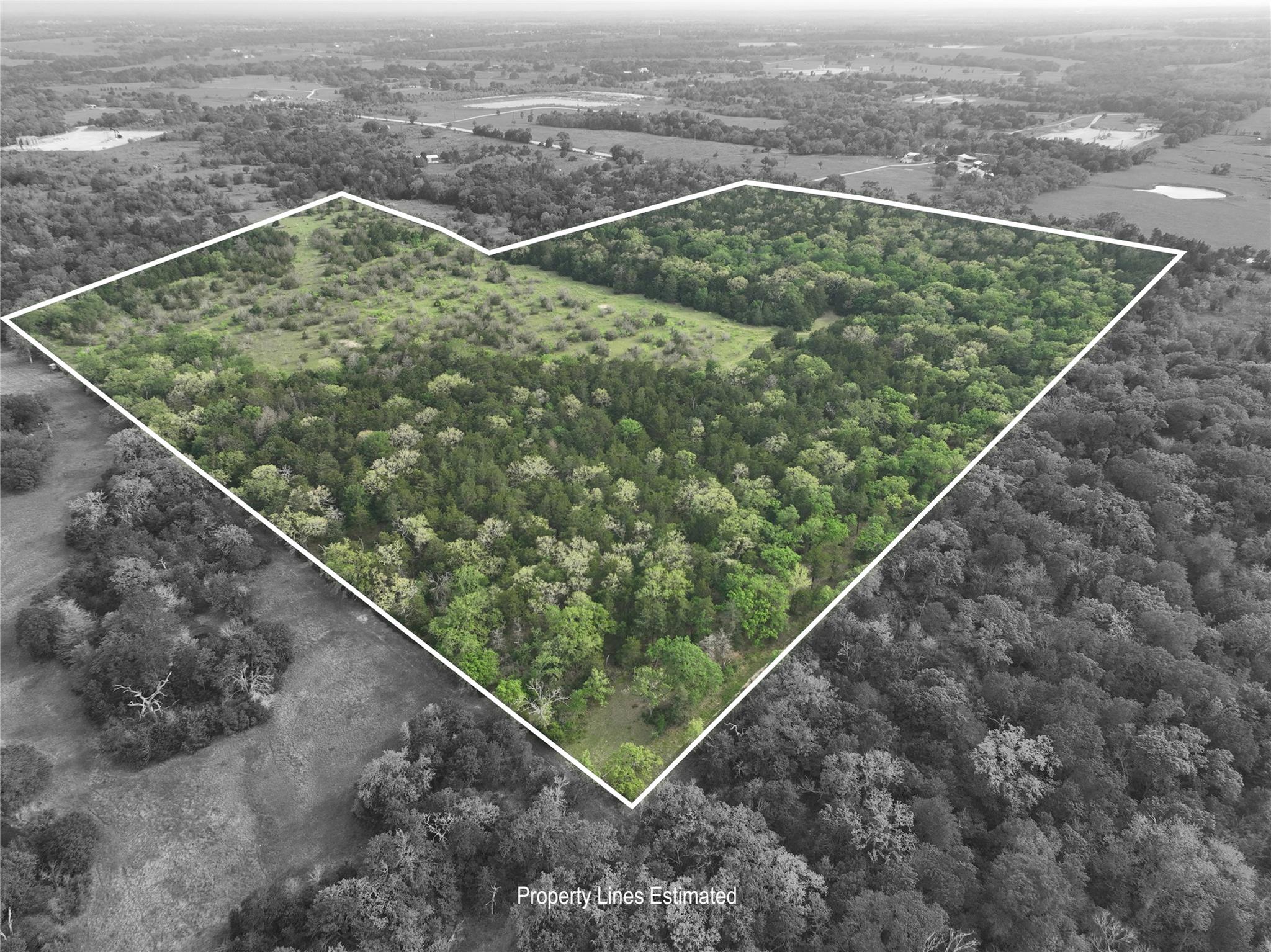 TBD (43.65 Acres) County Road 126, Caldwell, TX 77836