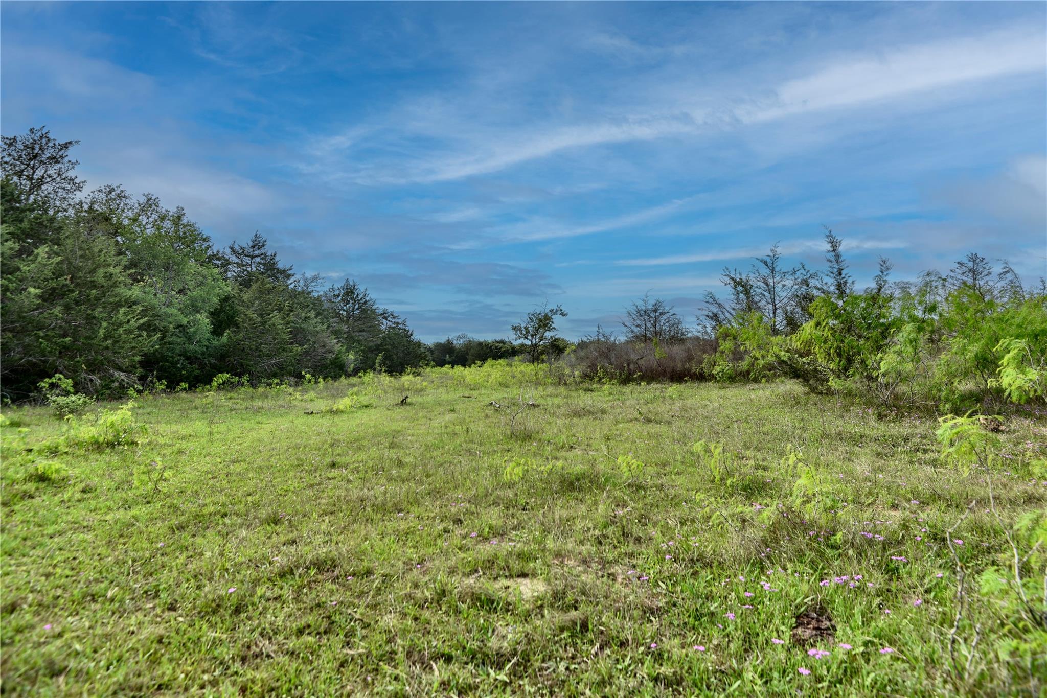 TBD (43.65 Acres) County Road 126, Caldwell, TX 77836