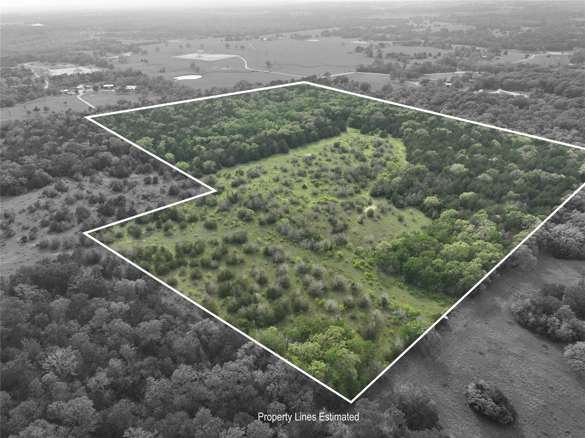 TBD (43.65 Acres) County Road 126, Caldwell, TX 77836