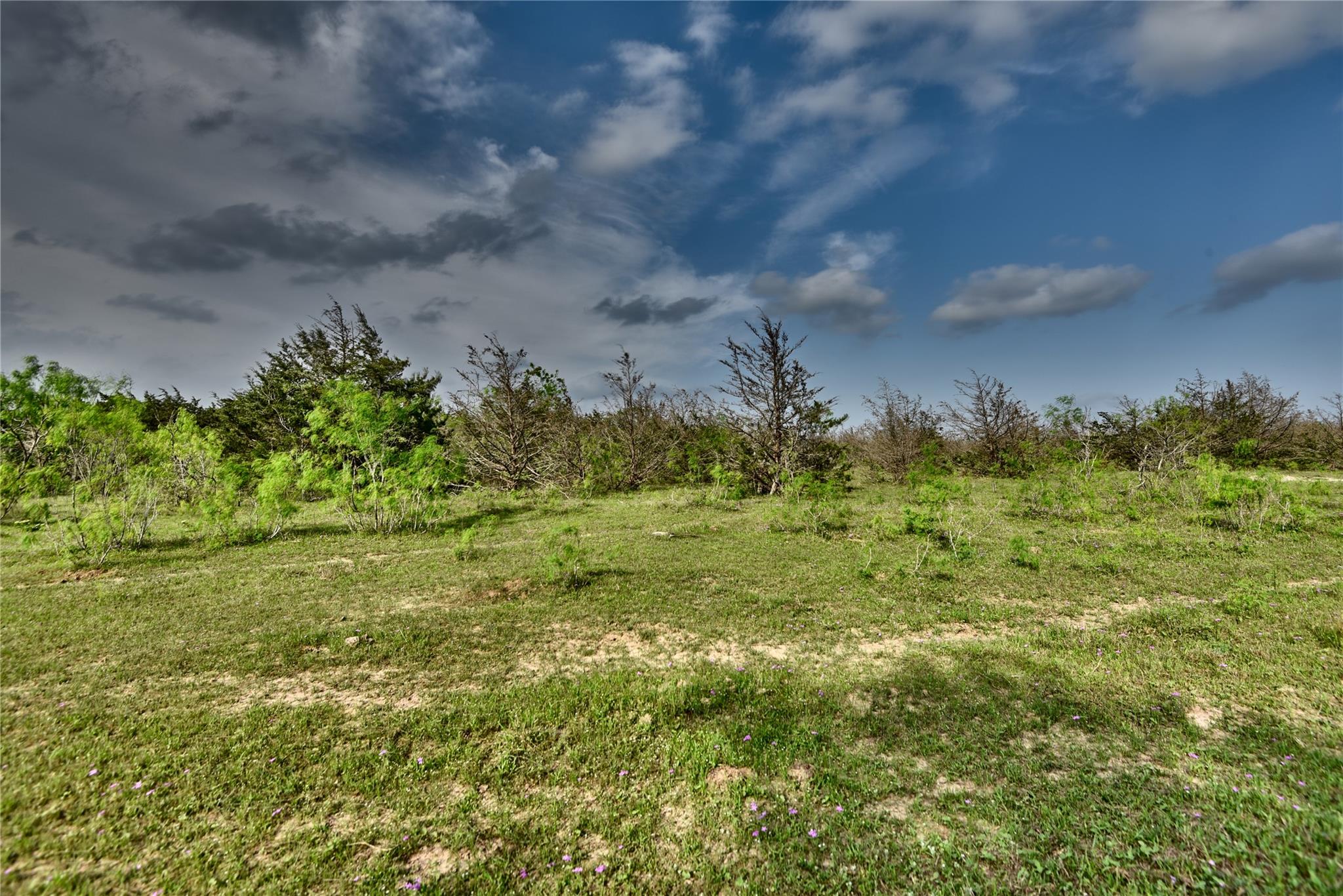 TBD (43.65 Acres) County Road 126, Caldwell, TX 77836