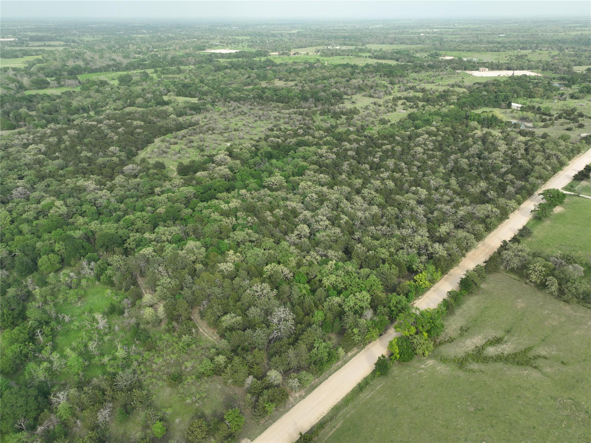 TBD (43.65 Acres) County Road 126, Caldwell, TX 77836