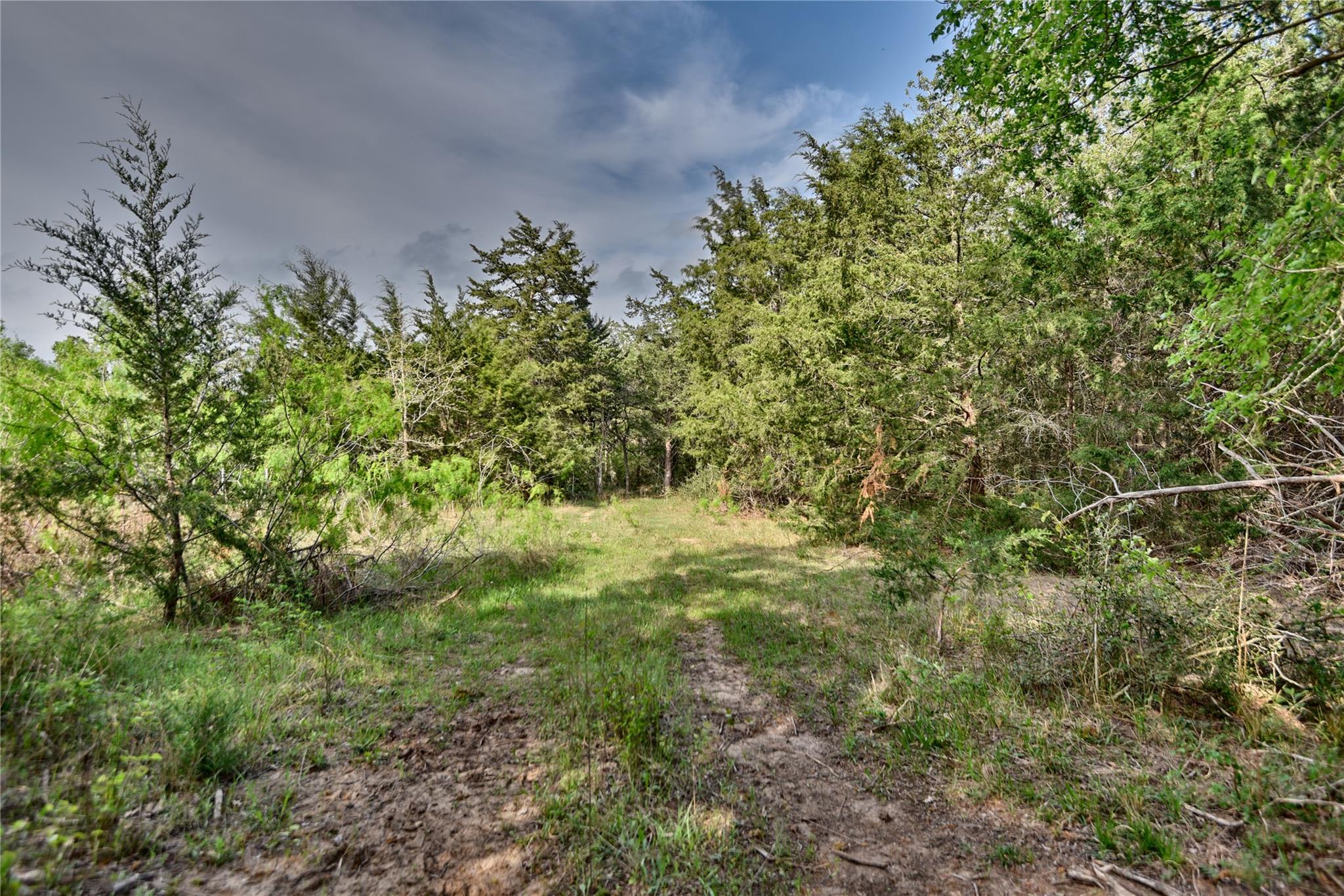 TBD (43.65 Acres) County Road 126, Caldwell, TX 77836