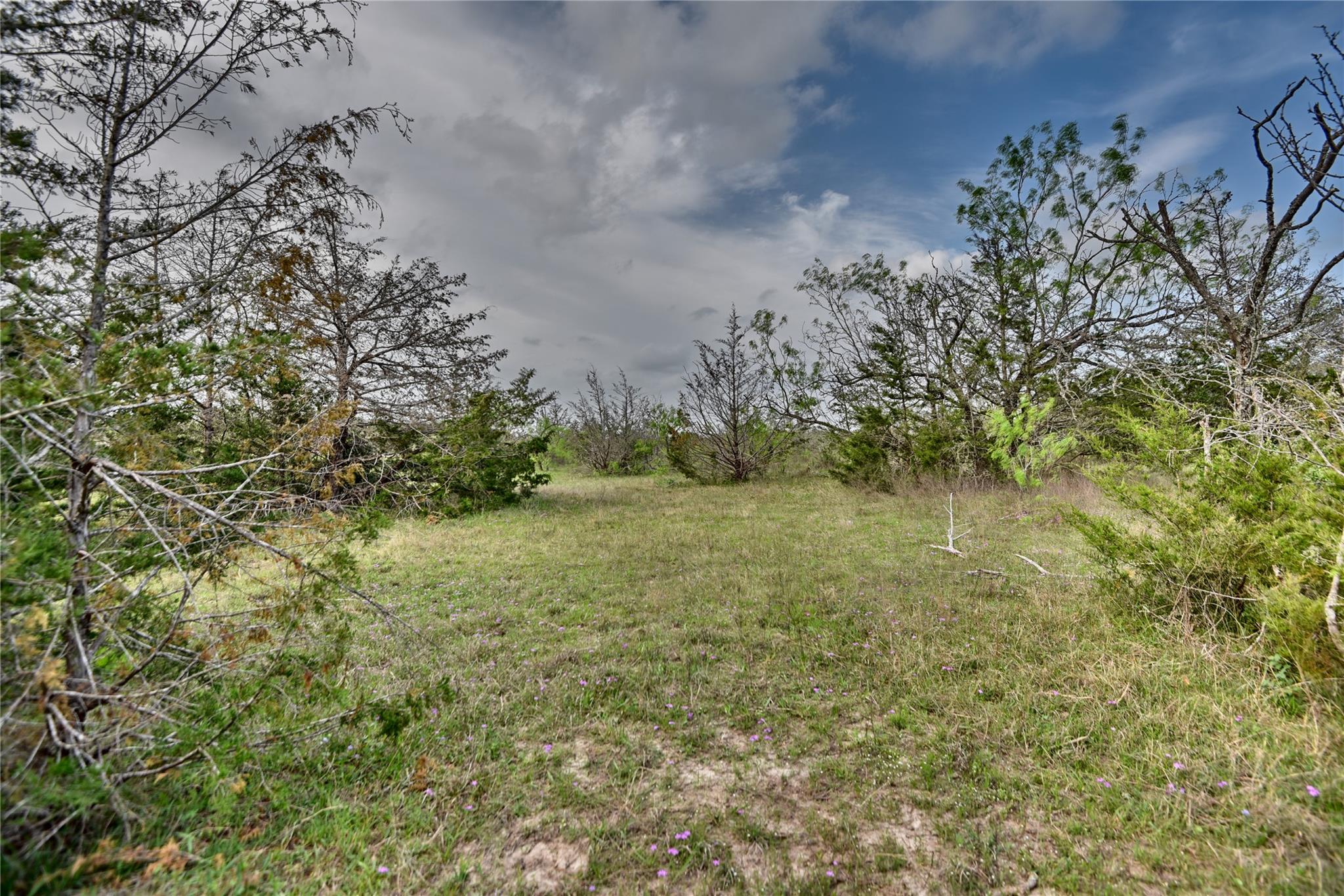 TBD (43.65 Acres) County Road 126, Caldwell, TX 77836