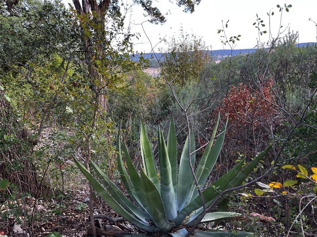 18113 Gregg Bluff Rd, Jonestown, TX 78645