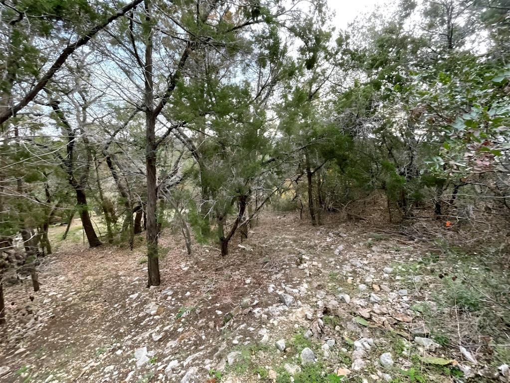 18113 Gregg Bluff Rd, Jonestown, TX 78645