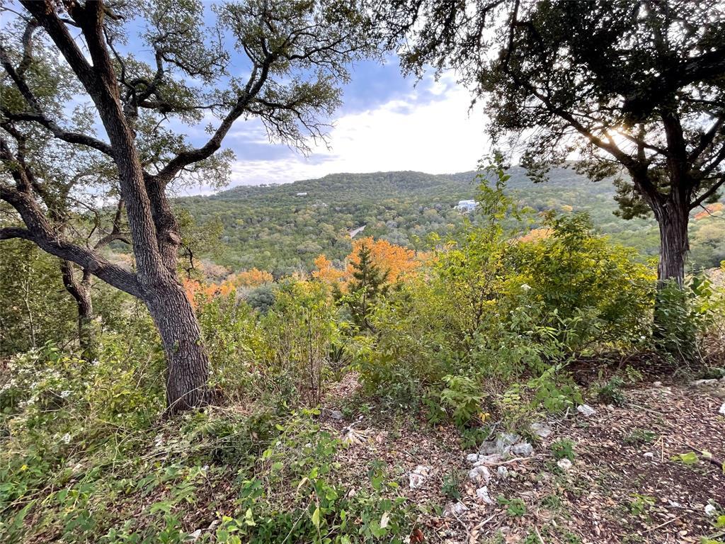 18113 Gregg Bluff Rd, Jonestown, TX 78645