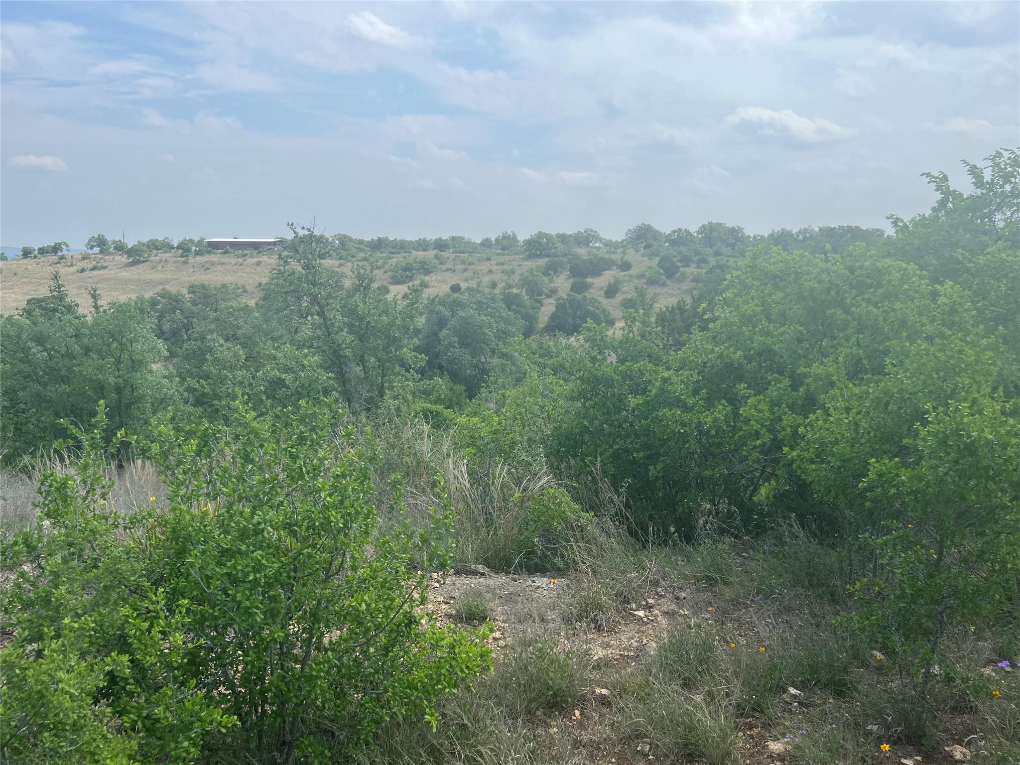 Lot 63 Summit Ledge Dr, Johnson City, TX 78636