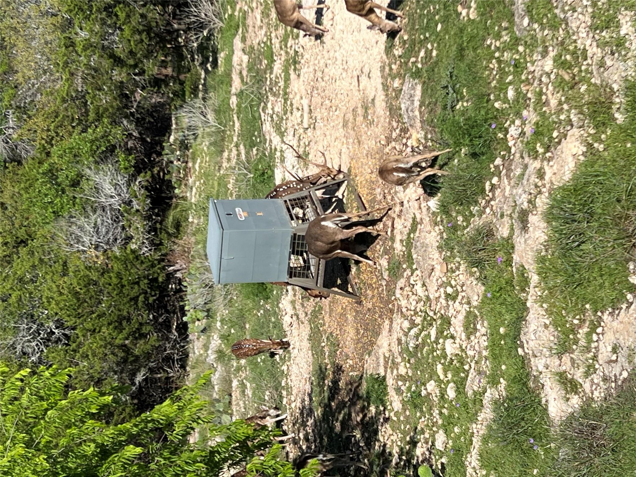 1802 Cattail Dr, Canyon Lake, TX 78133