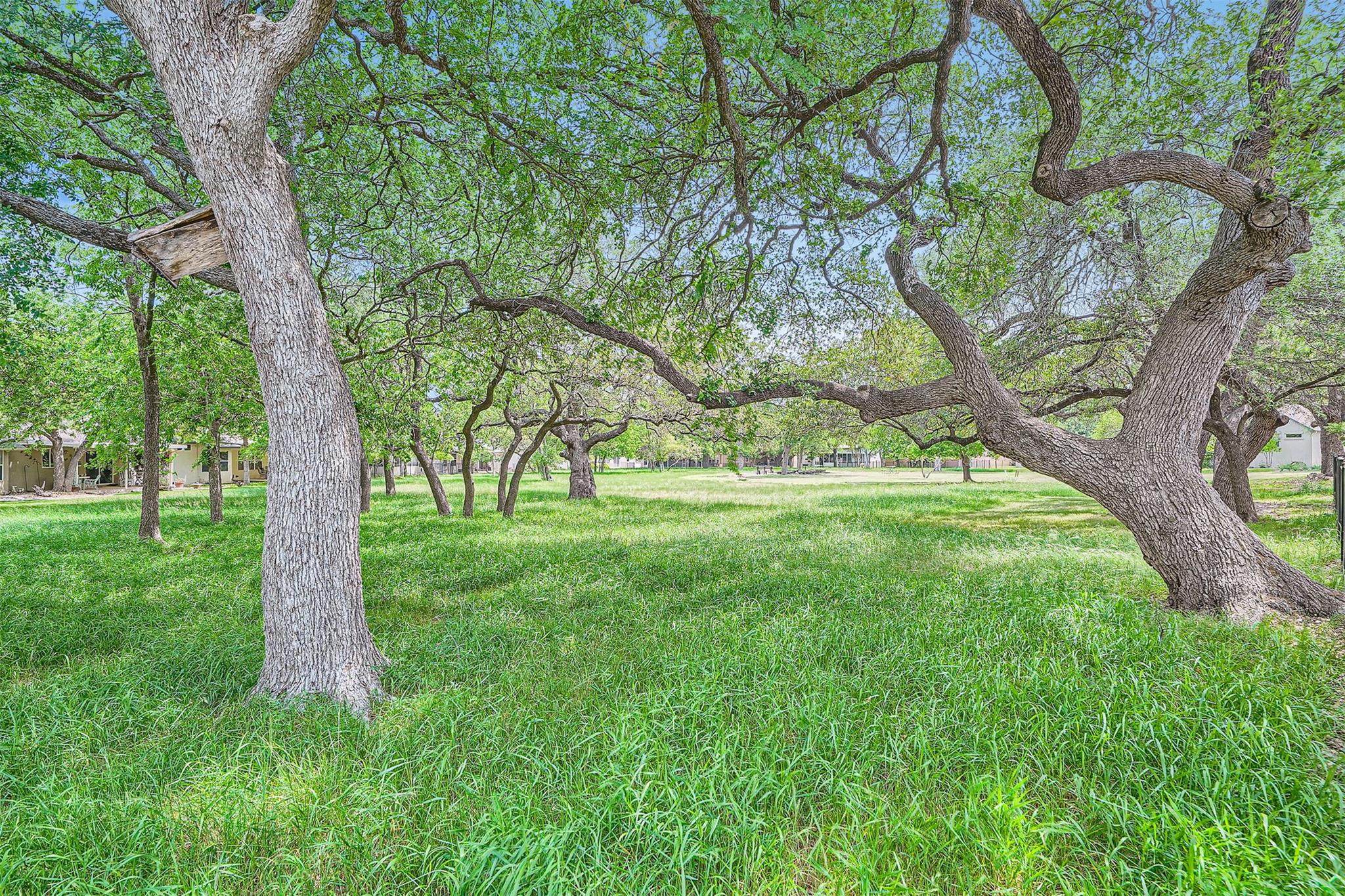 114 Plover Pass, Georgetown, TX 78633
