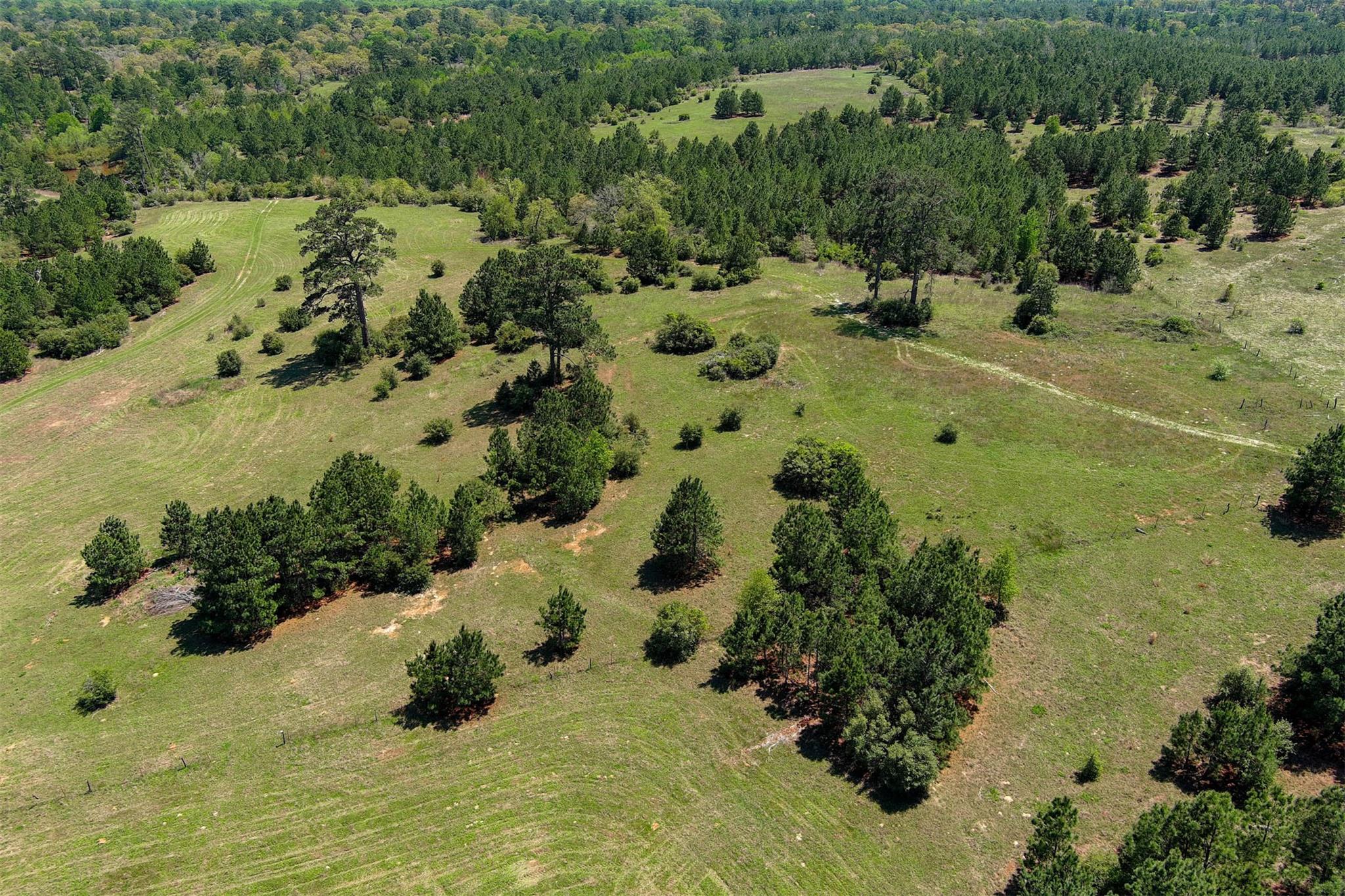 983 Hwy 21 E., Bastrop, TX 78602