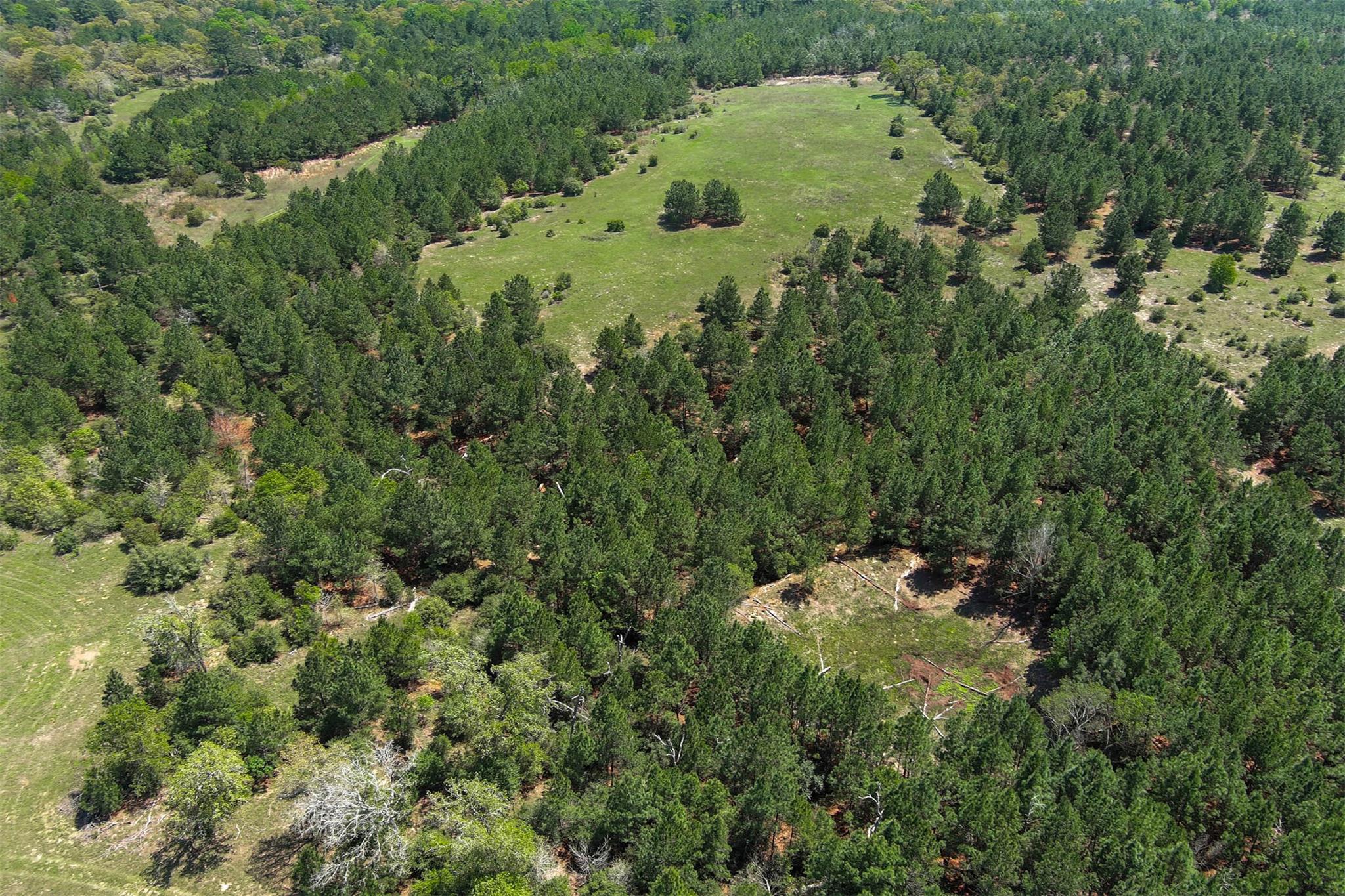 983 Hwy 21 E., Bastrop, TX 78602