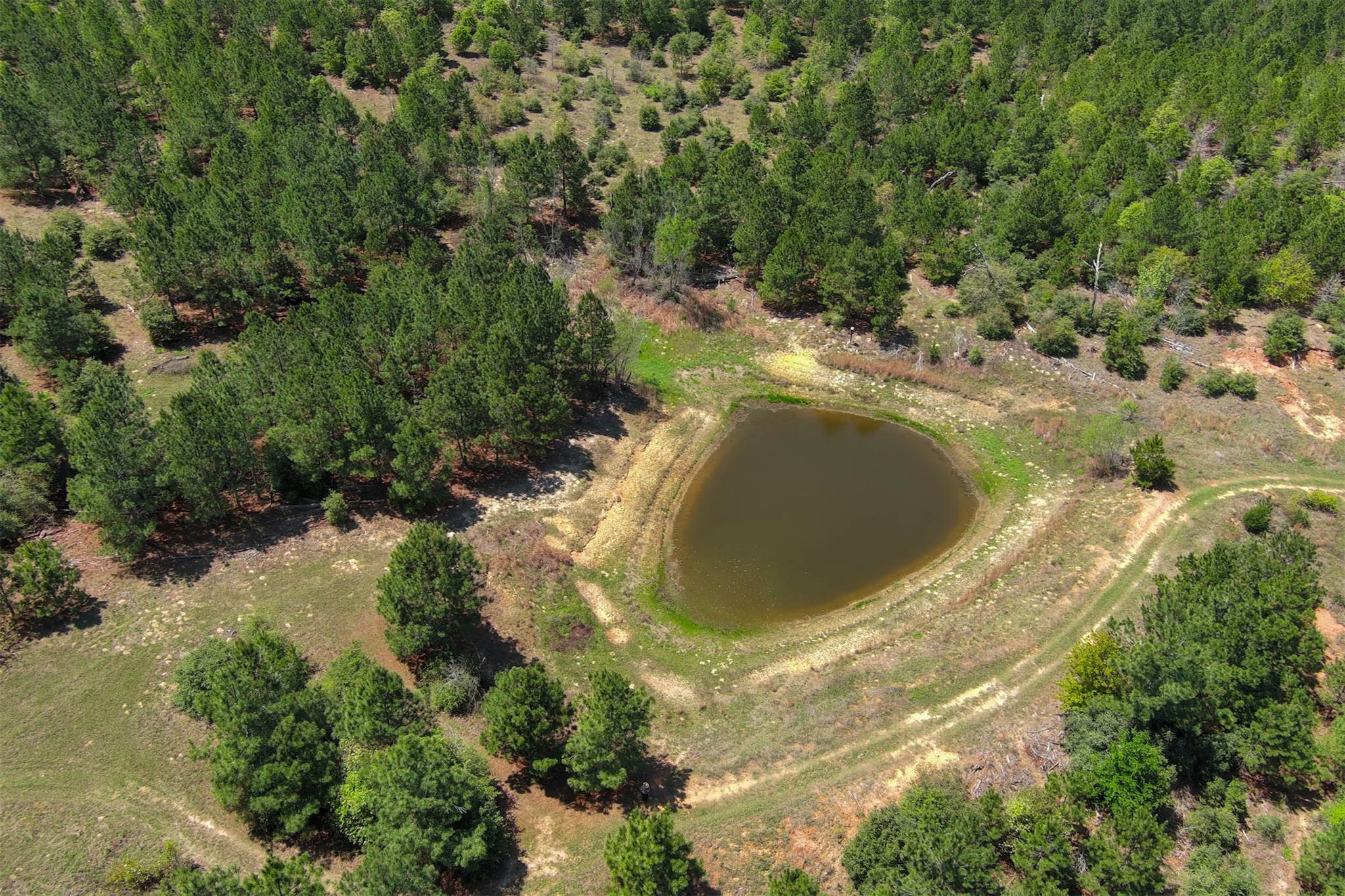 983 Hwy 21 E., Bastrop, TX 78602