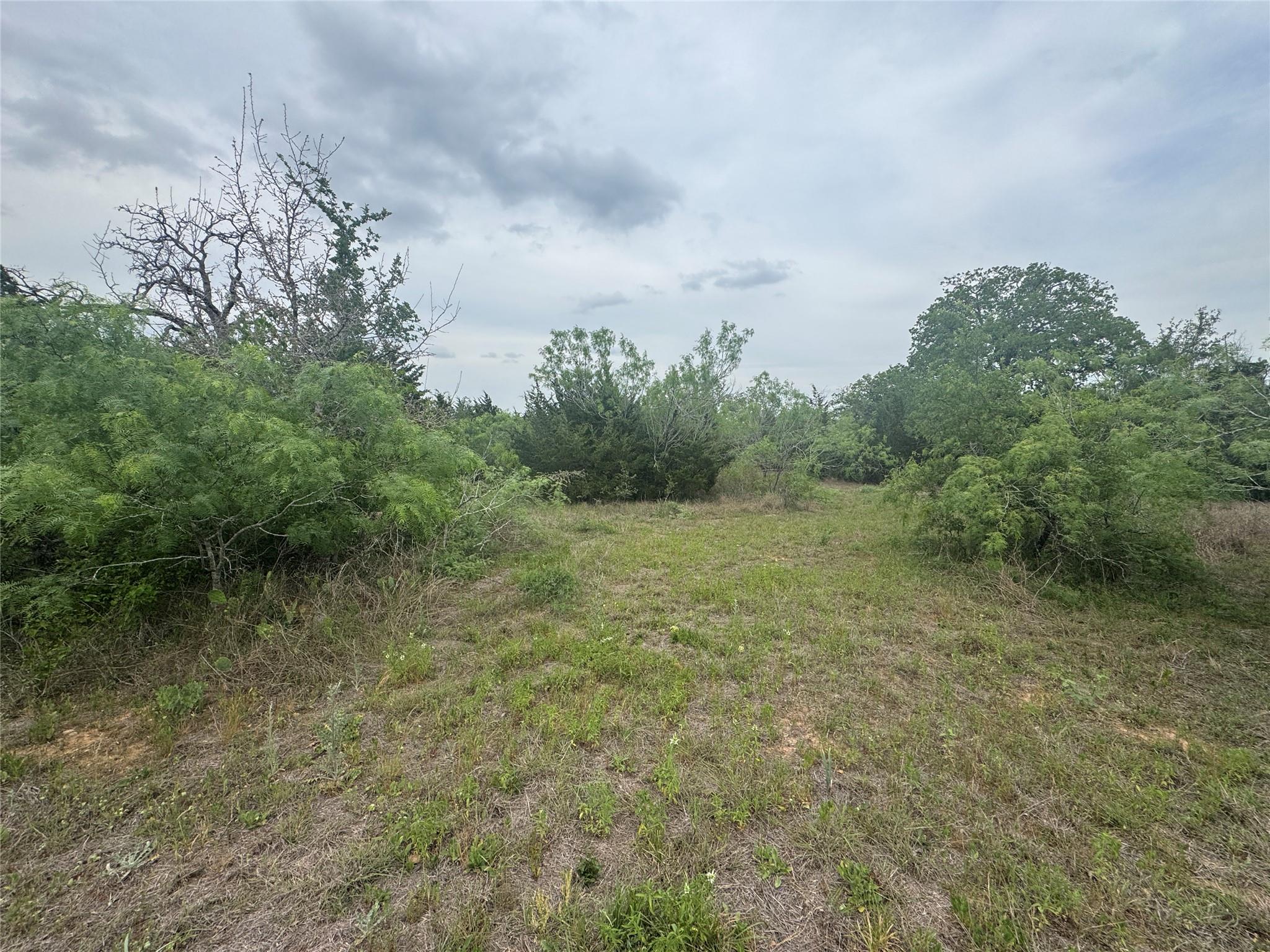 TBD Della Ln, Cedar Creek, TX 78612