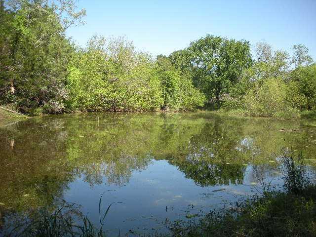 340 Tuck St, Cedar Creek, TX 78612