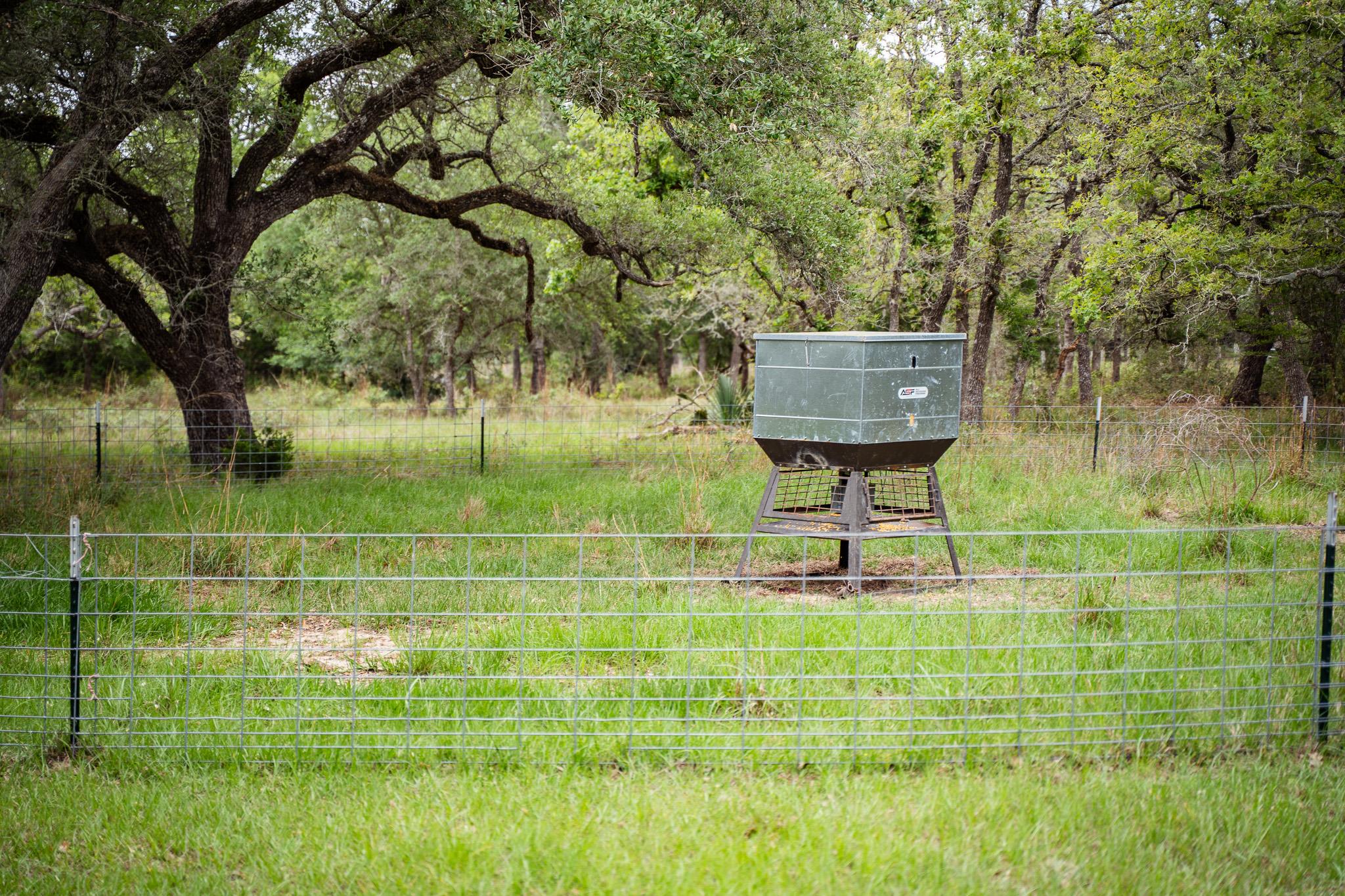 3814 CR 19, Hallettsville, TX 77964